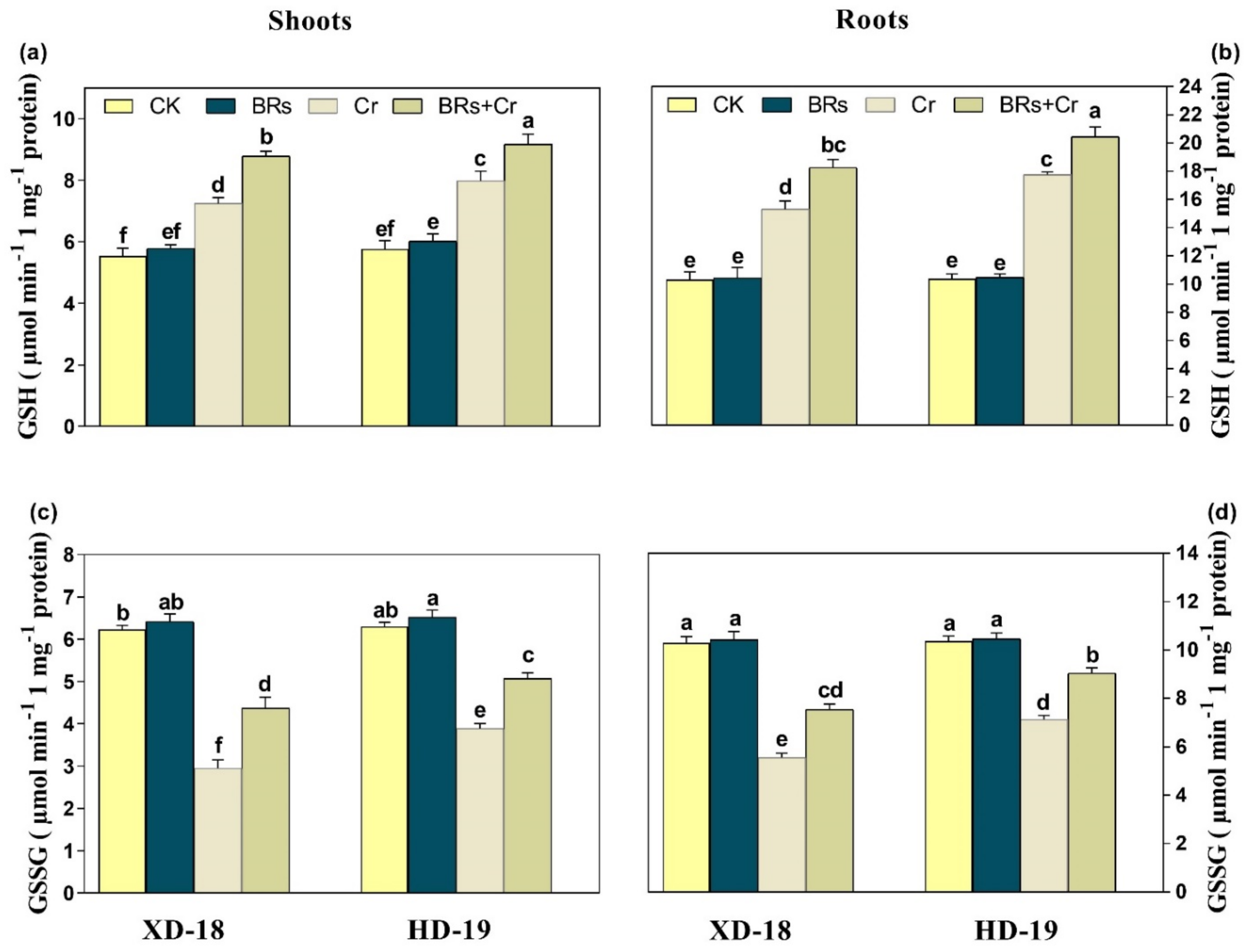 Plants 11 02292 g008