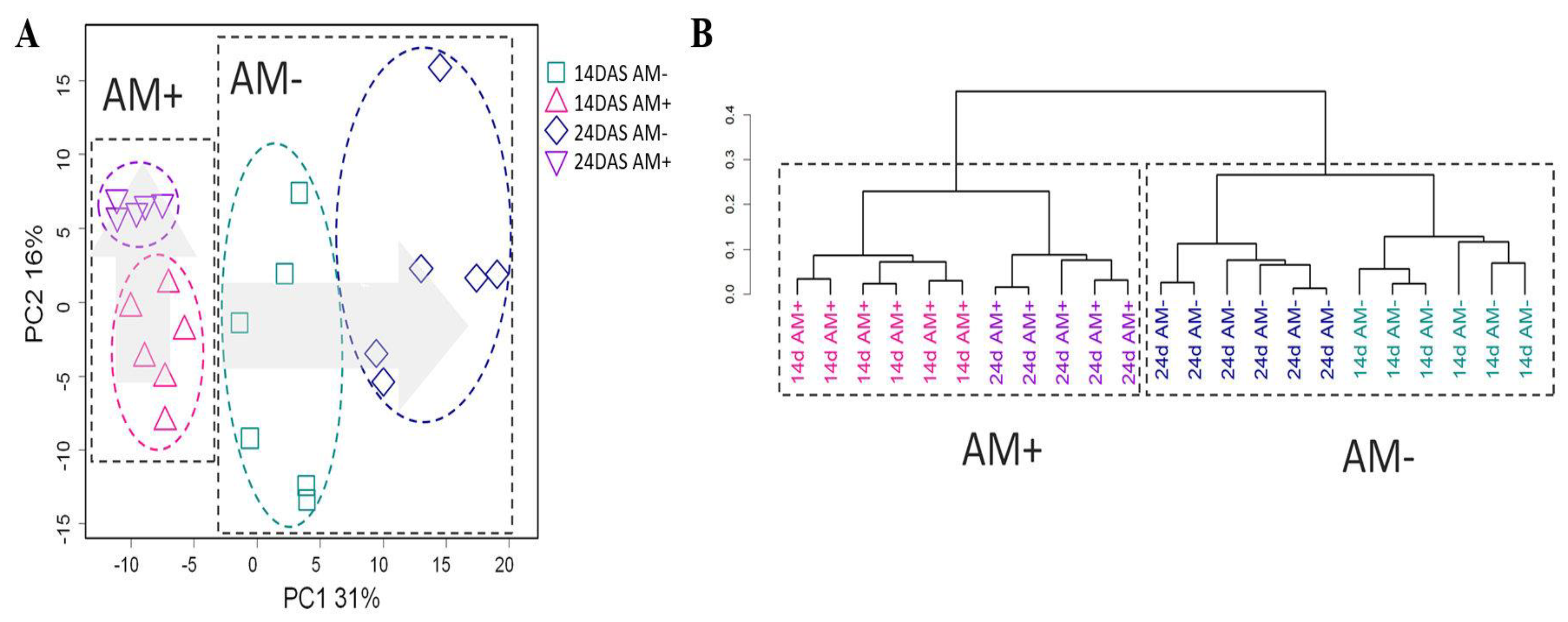 Plants 11 02338 g002