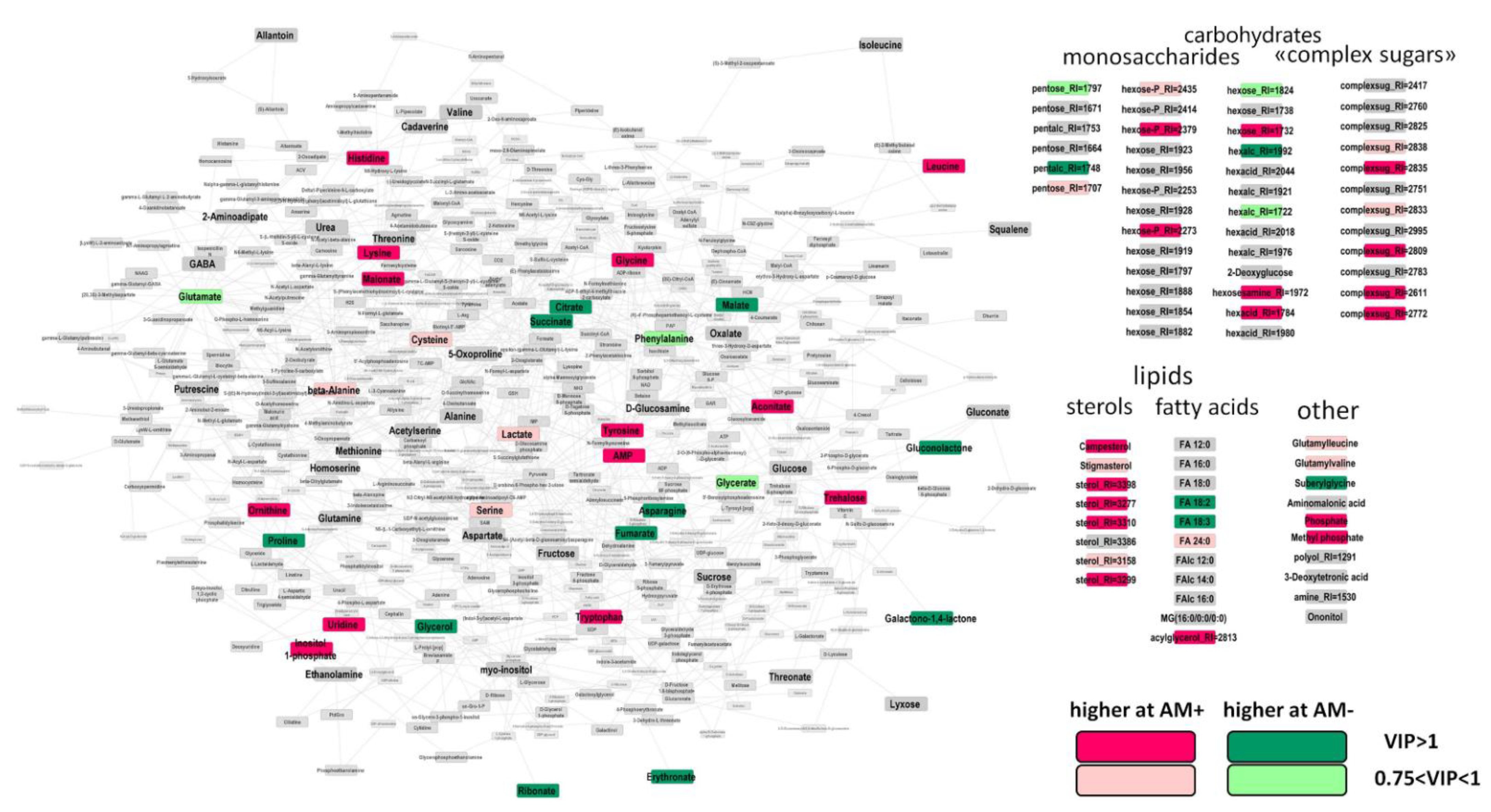 Plants 11 02338 g003