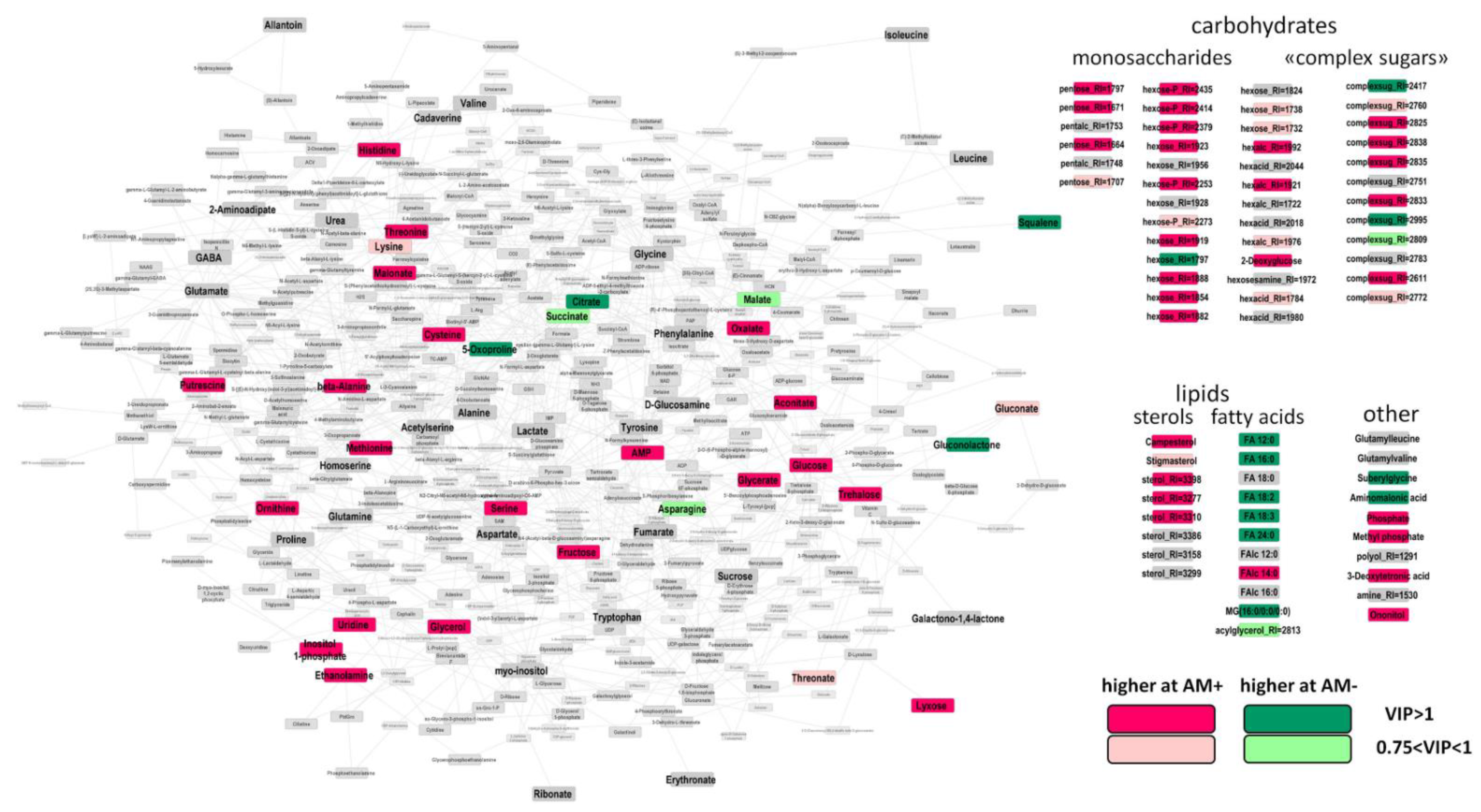 Plants 11 02338 g004