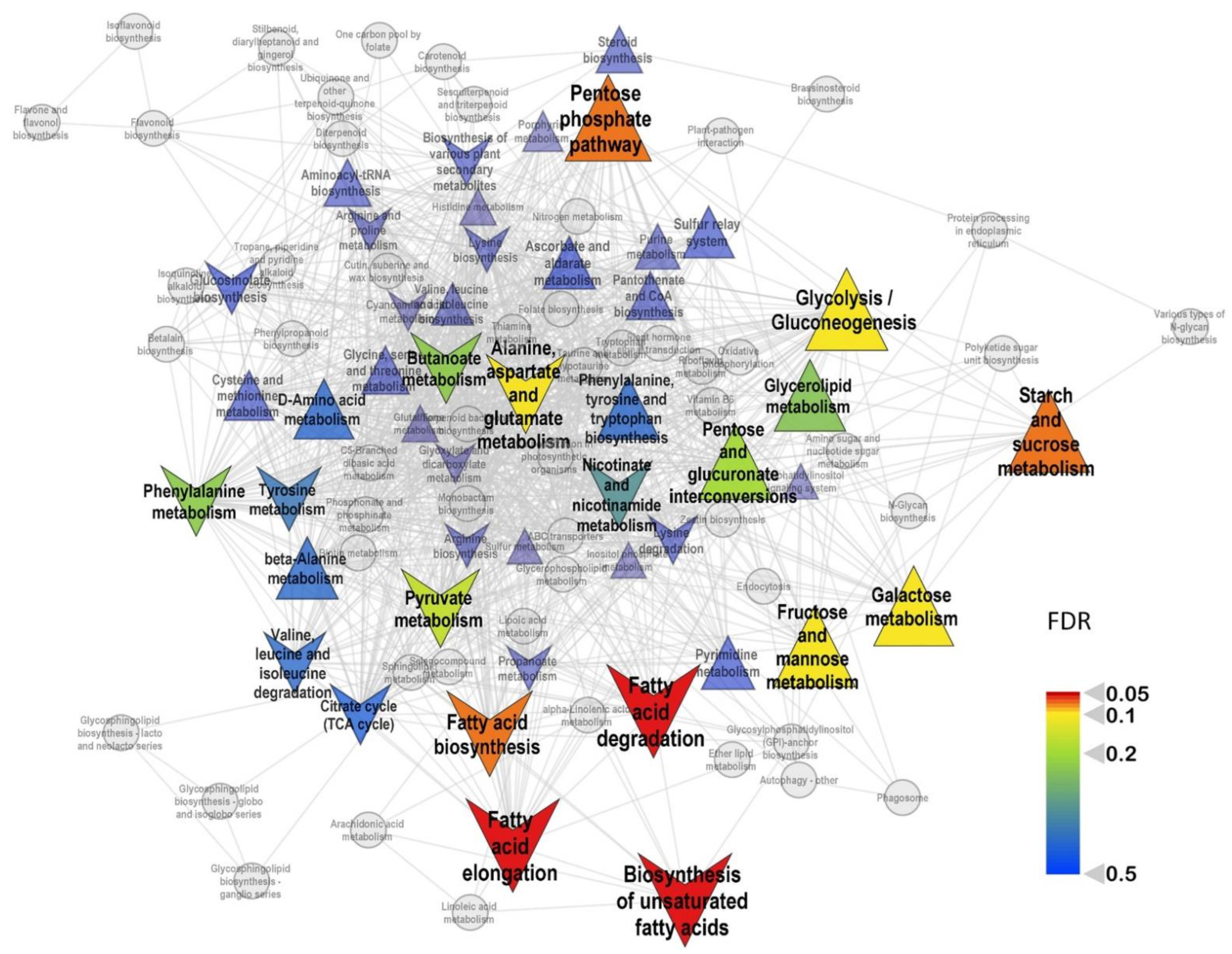 Plants 11 02338 g005