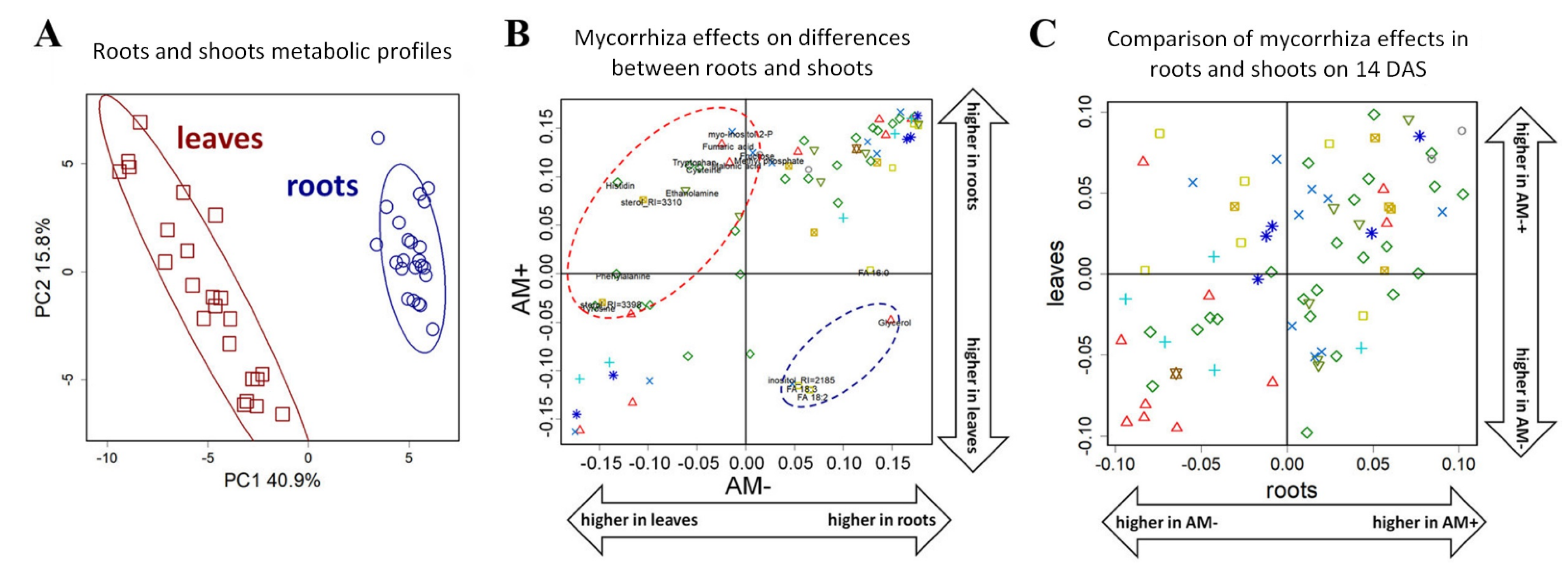 Plants 11 02338 g007