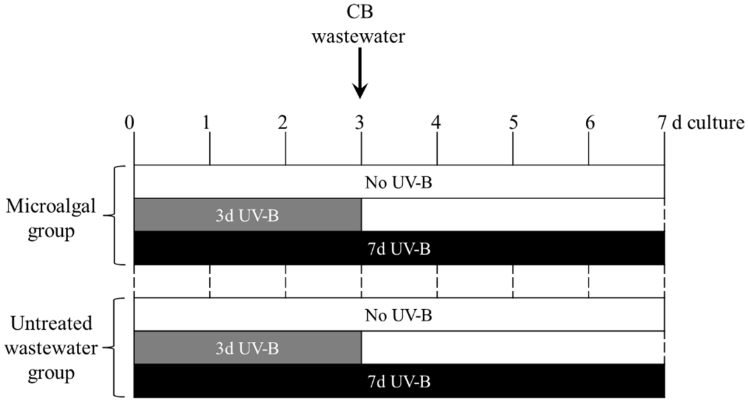 Plants 11 02356 g005