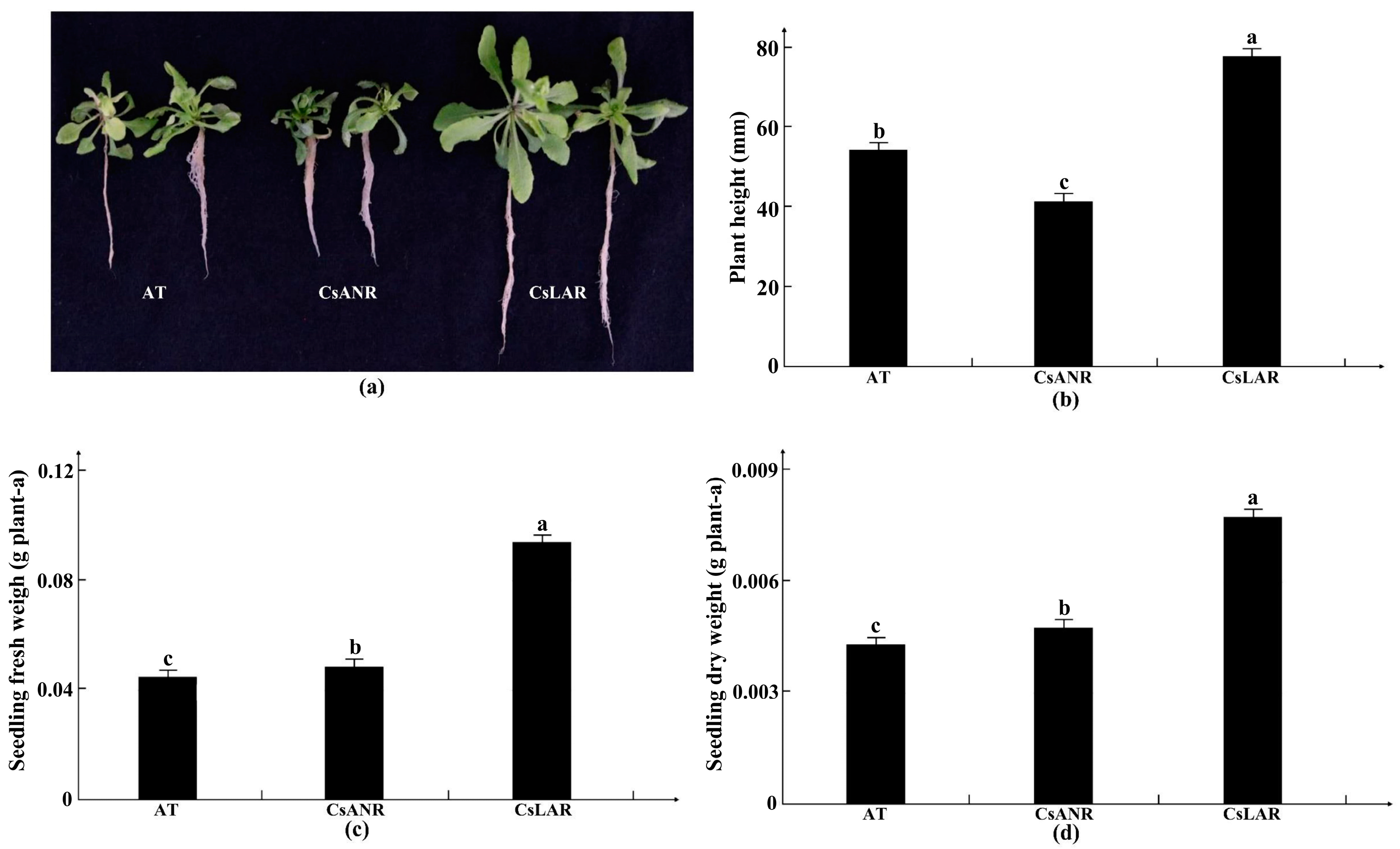 Plants 11 02364 g014