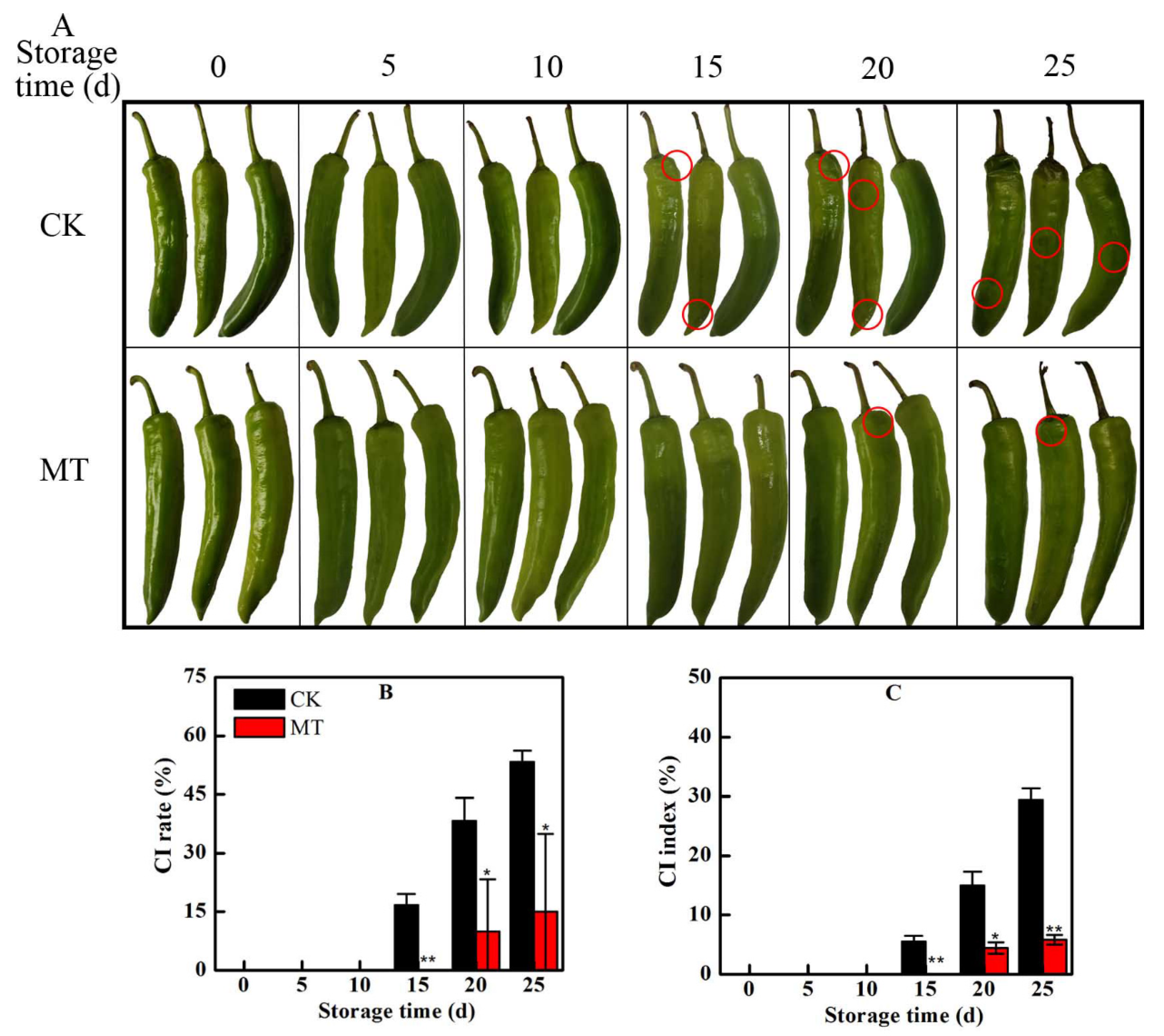 Plants 11 02367 g001