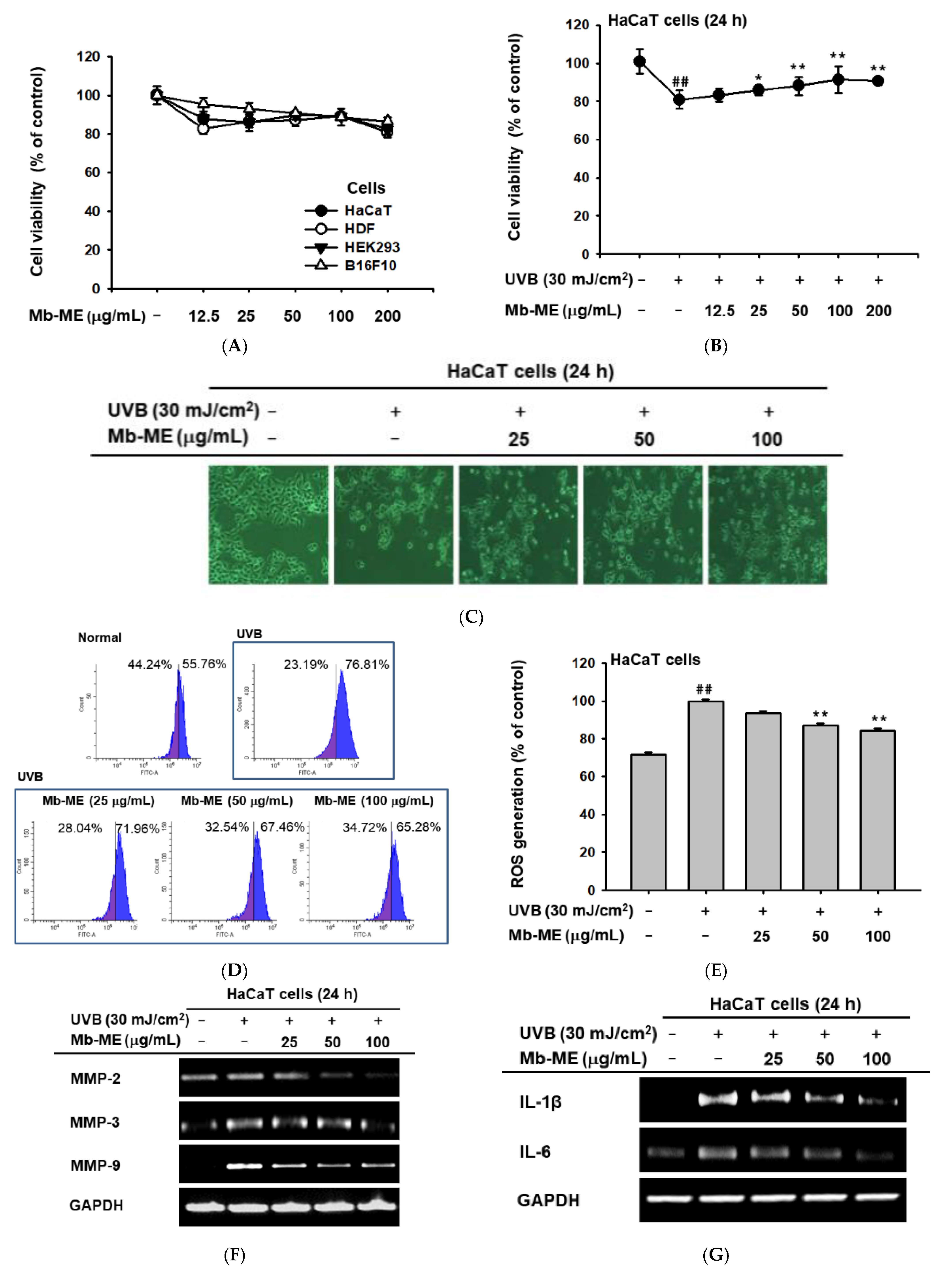 Plants 11 02368 g002