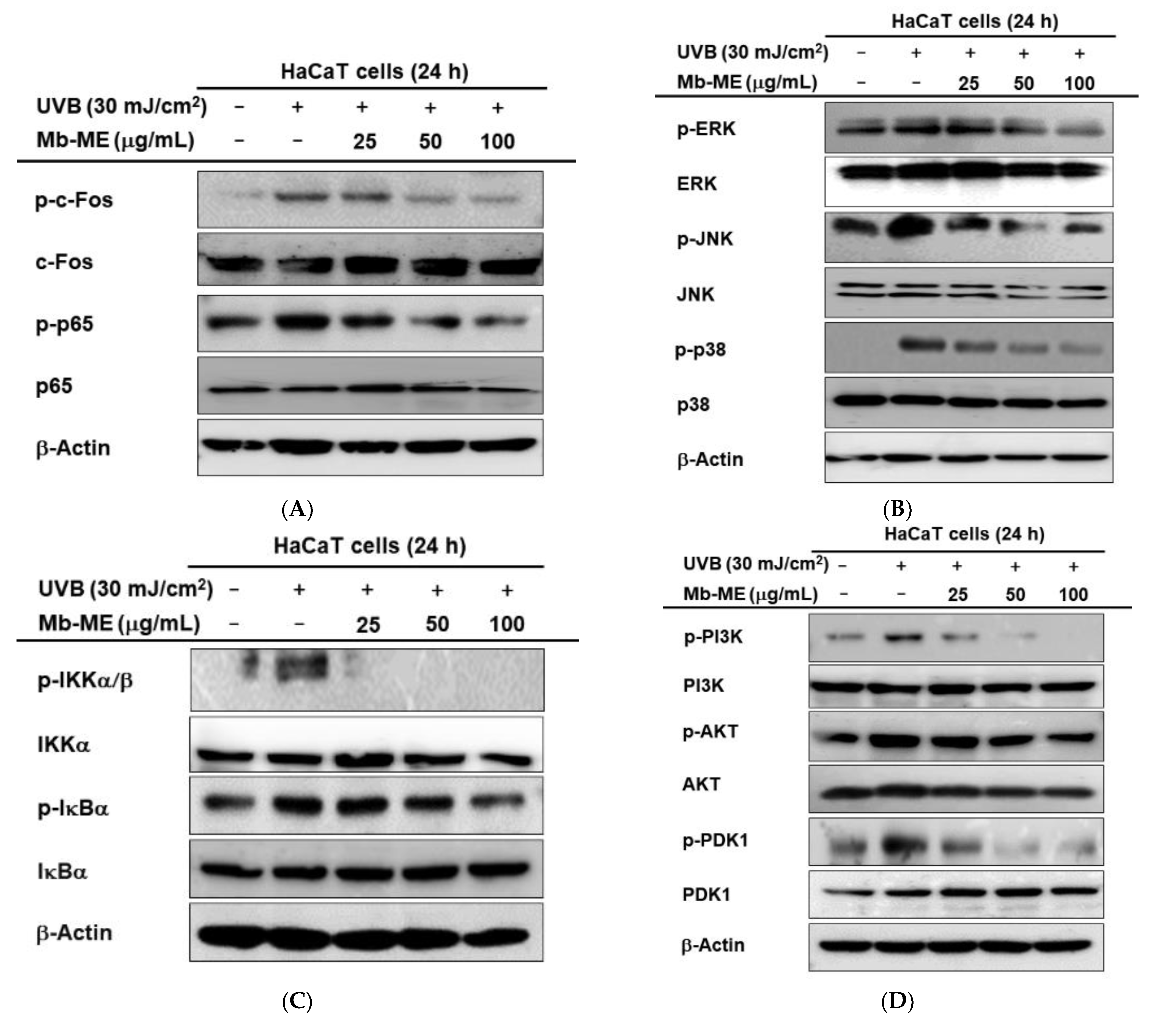 Plants 11 02368 g005a