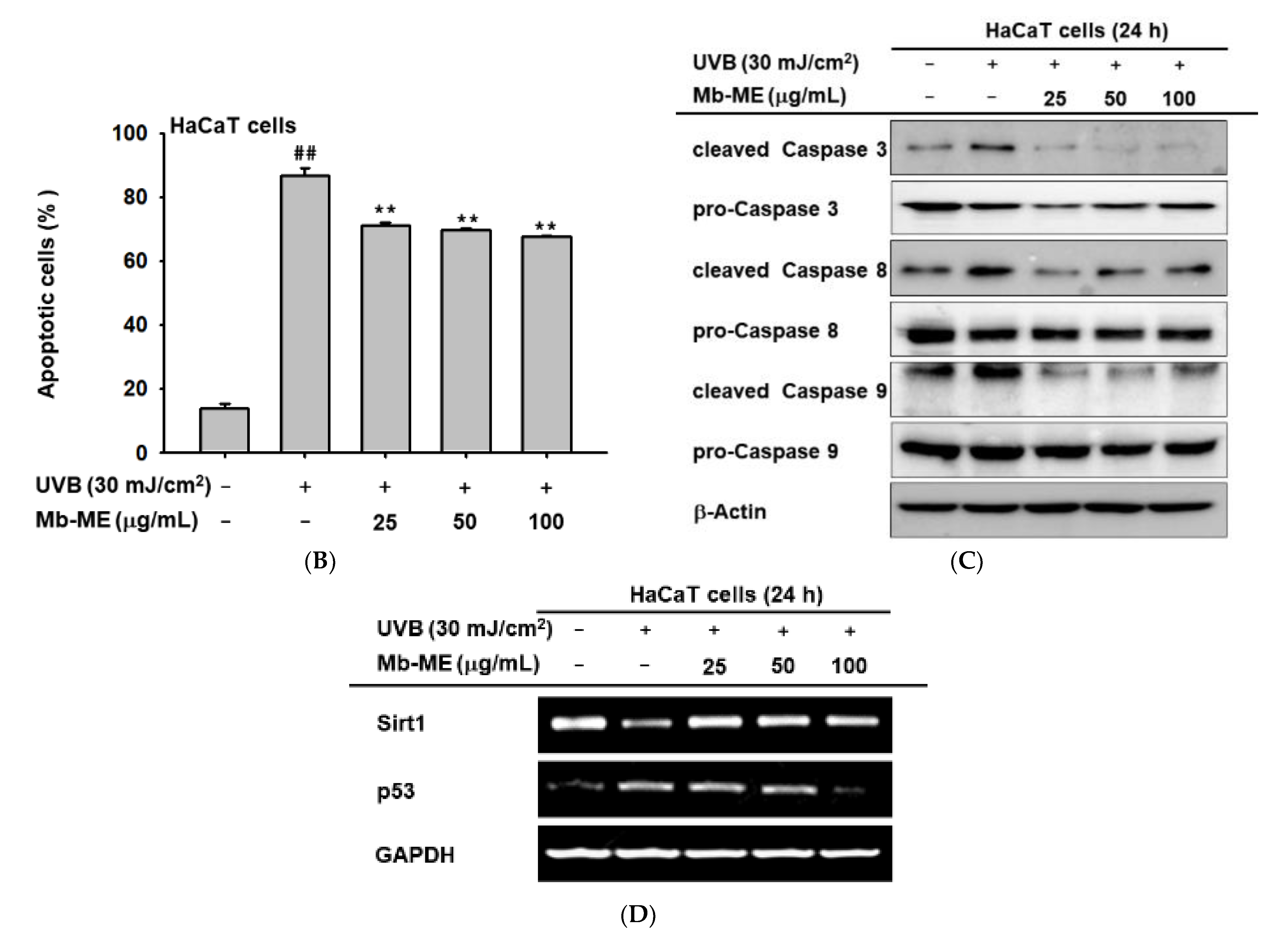 Plants 11 02368 g006b