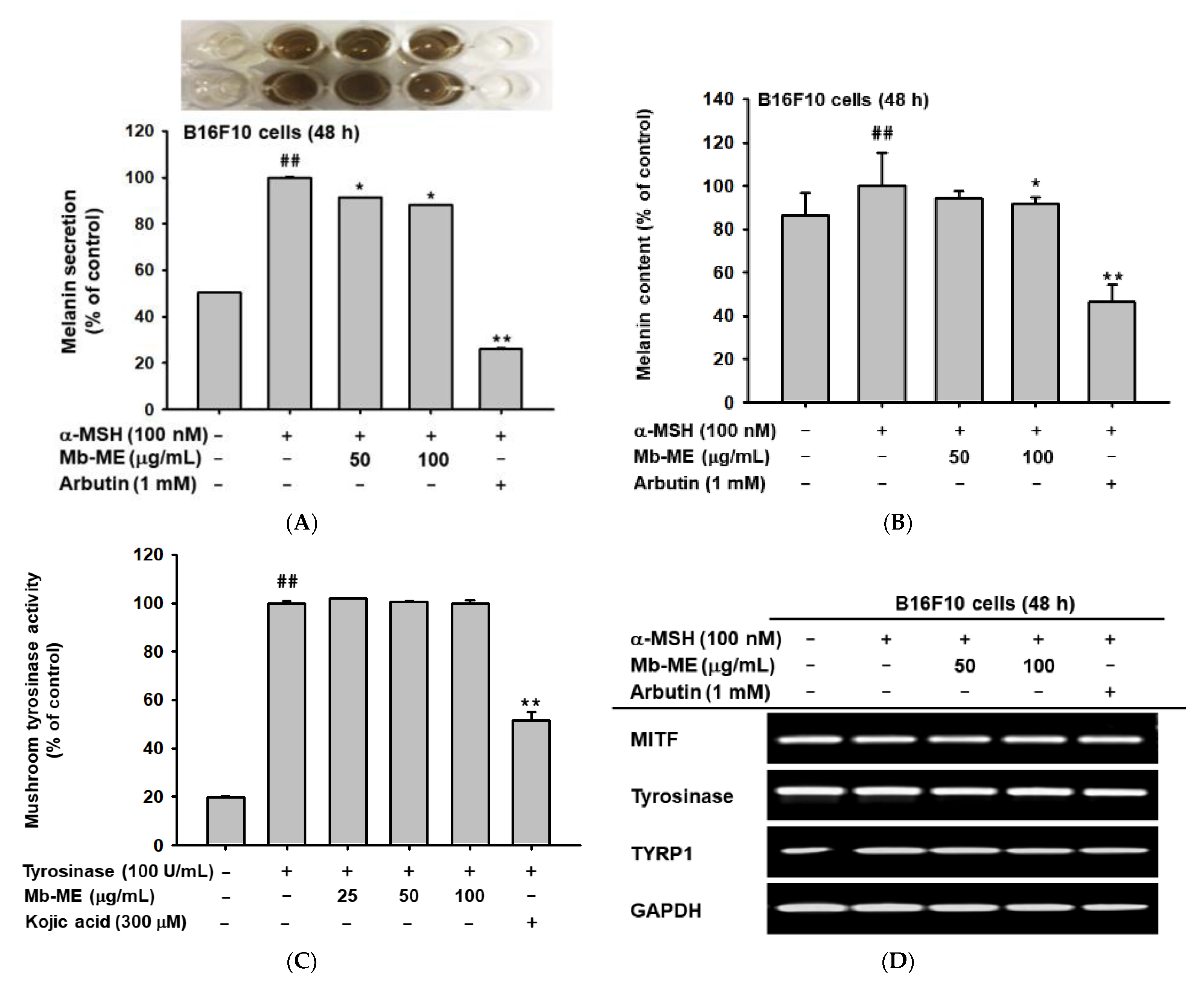 Plants 11 02368 g007