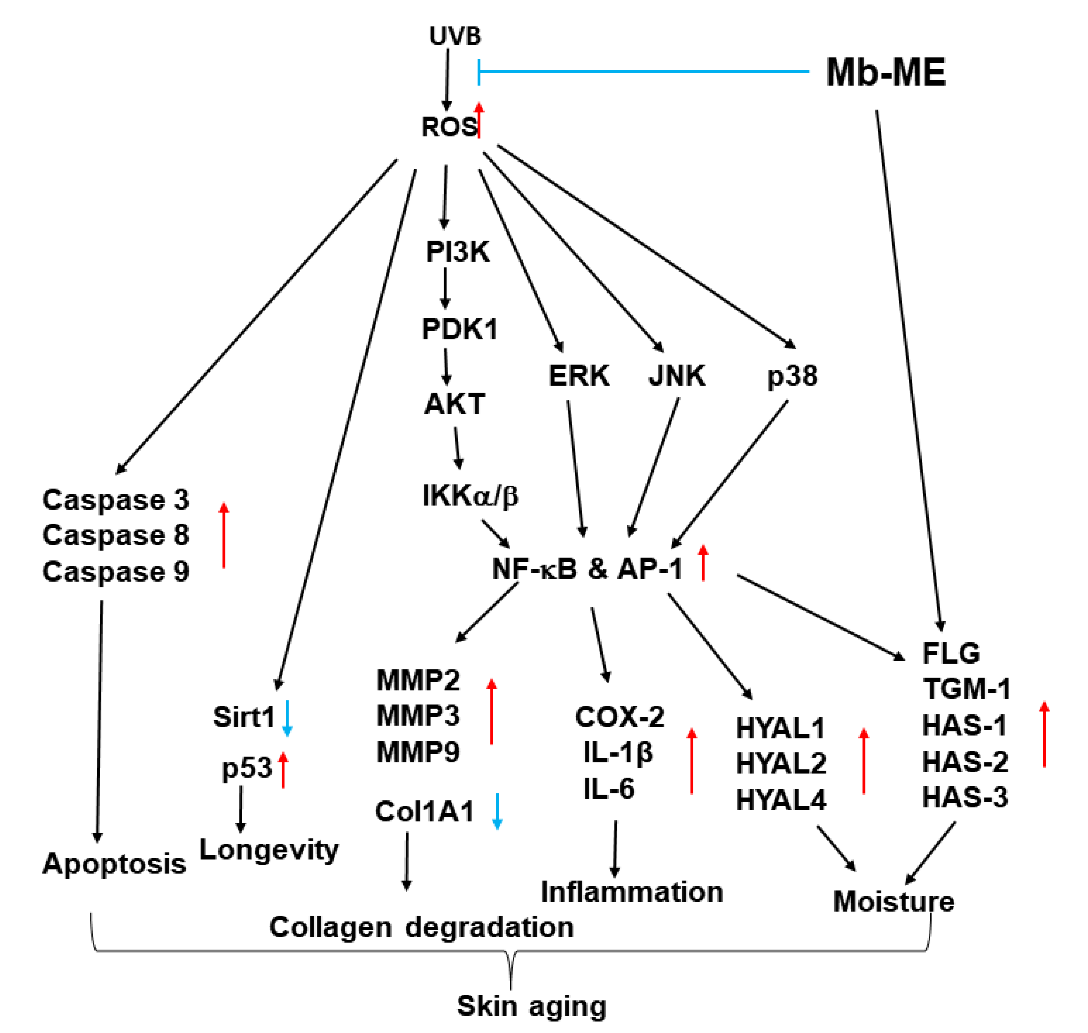 Plants 11 02368 g008