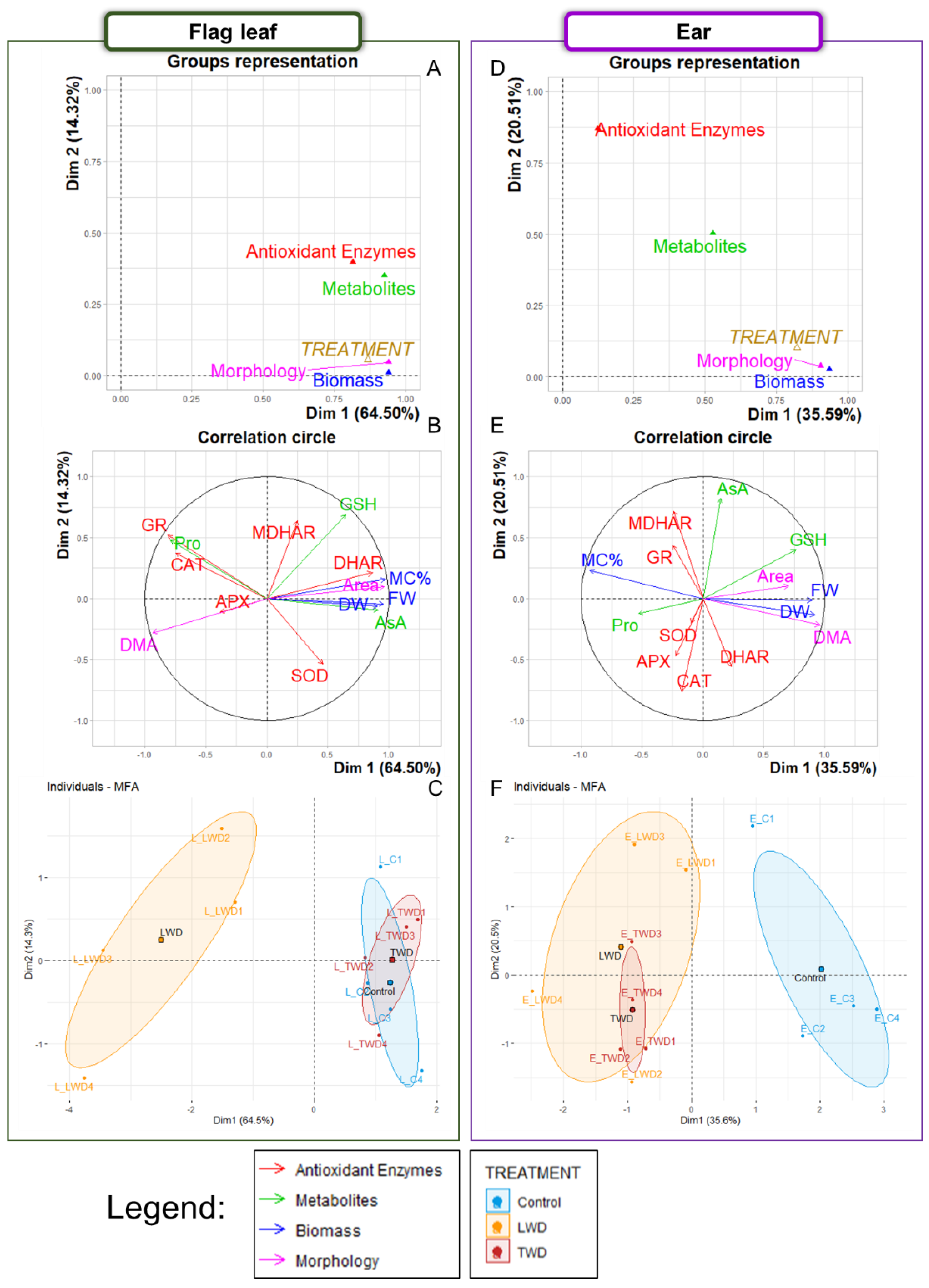 Plants 11 02384 g001