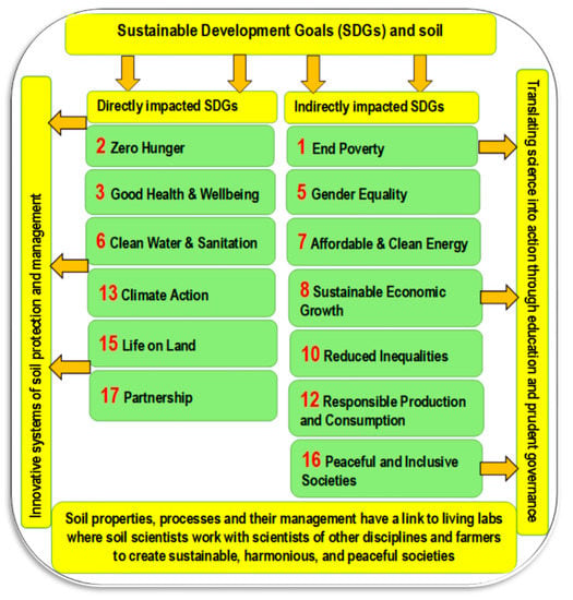 Texture - Soil Health Nexus