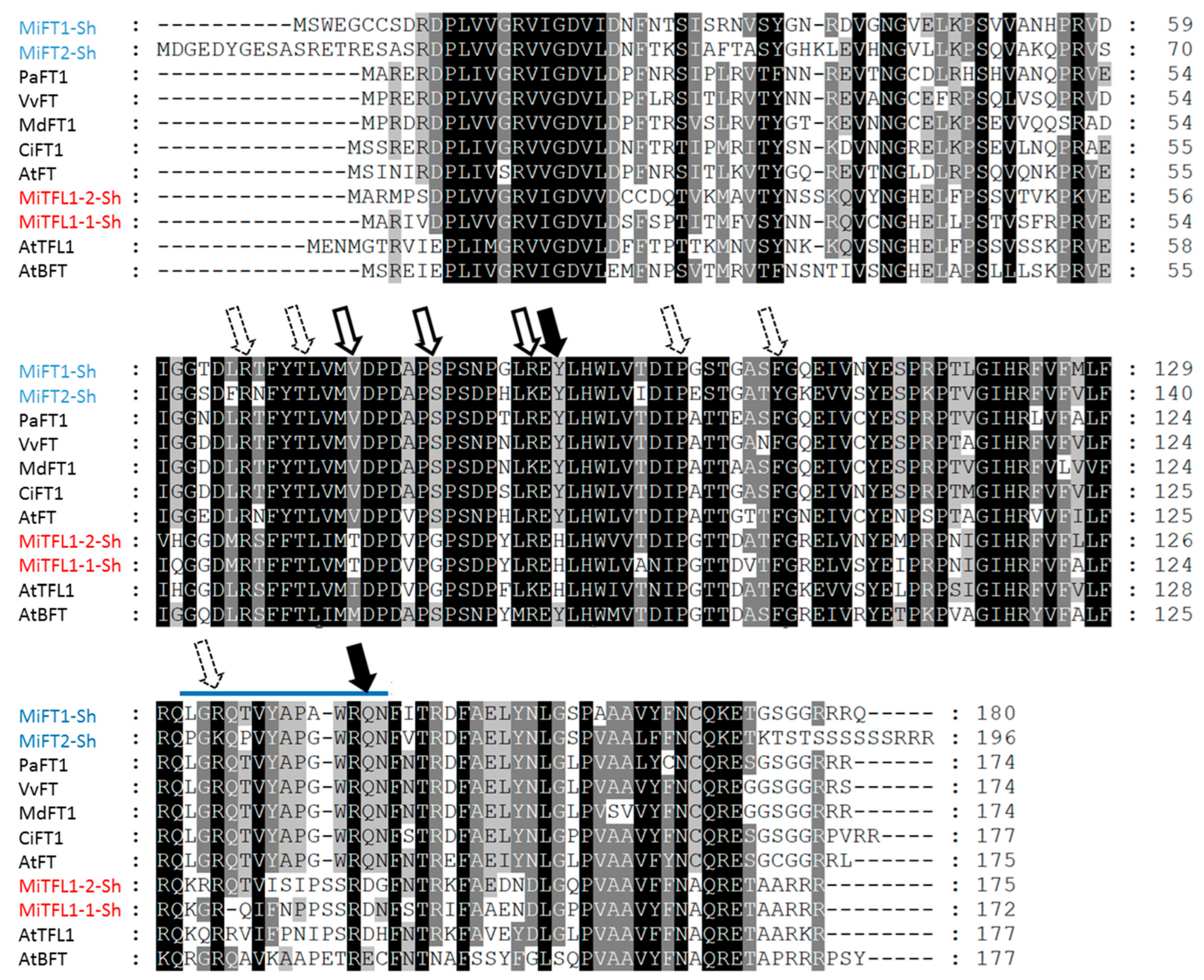 Plants 11 02409 g002 Plants 11 02409 g002