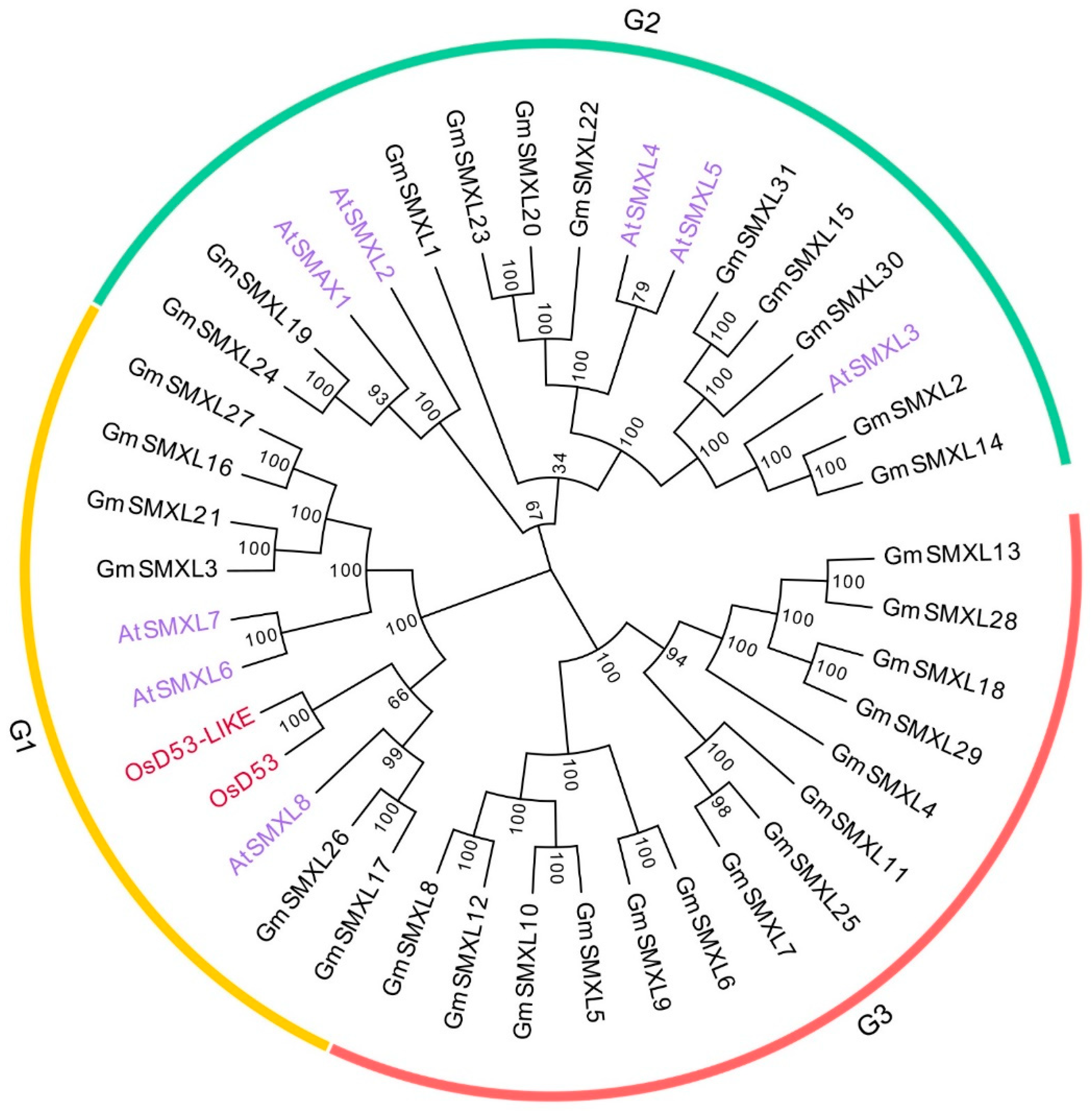 Plants 11 02410 g001 Plants 11 02410 g001
