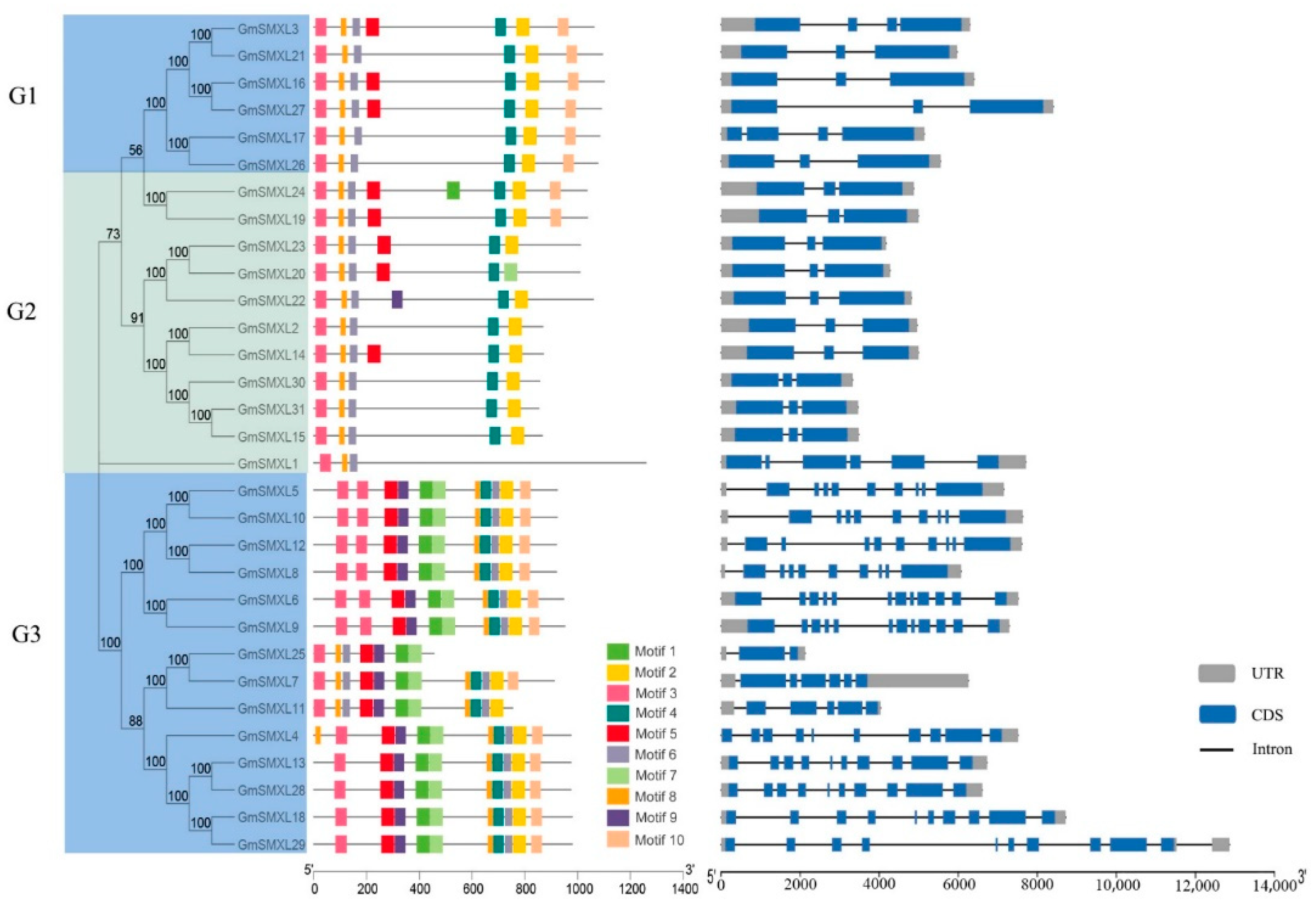 Plants 11 02410 g002 Plants 11 02410 g002
