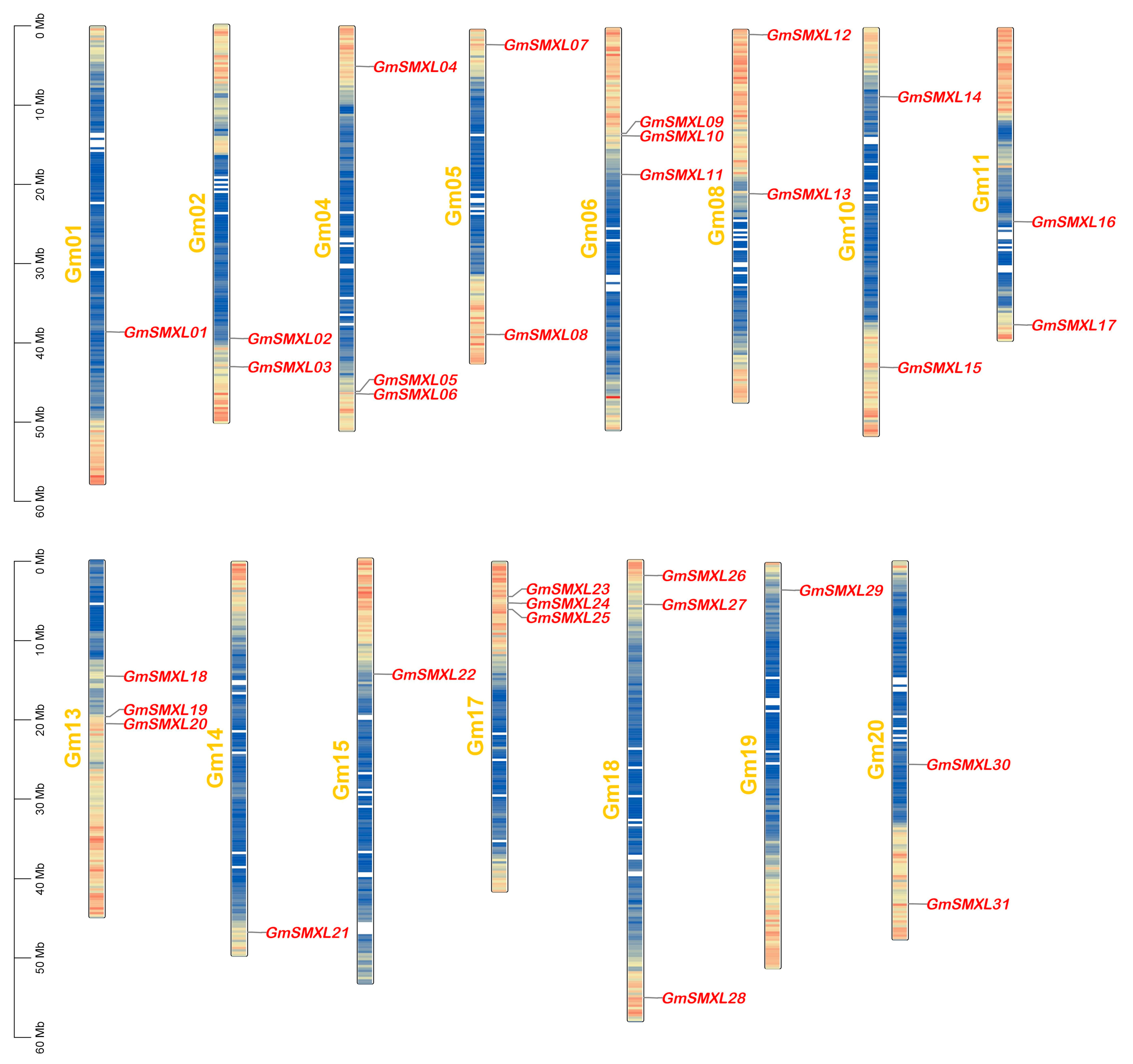 Plants 11 02410 g003 Plants 11 02410 g003