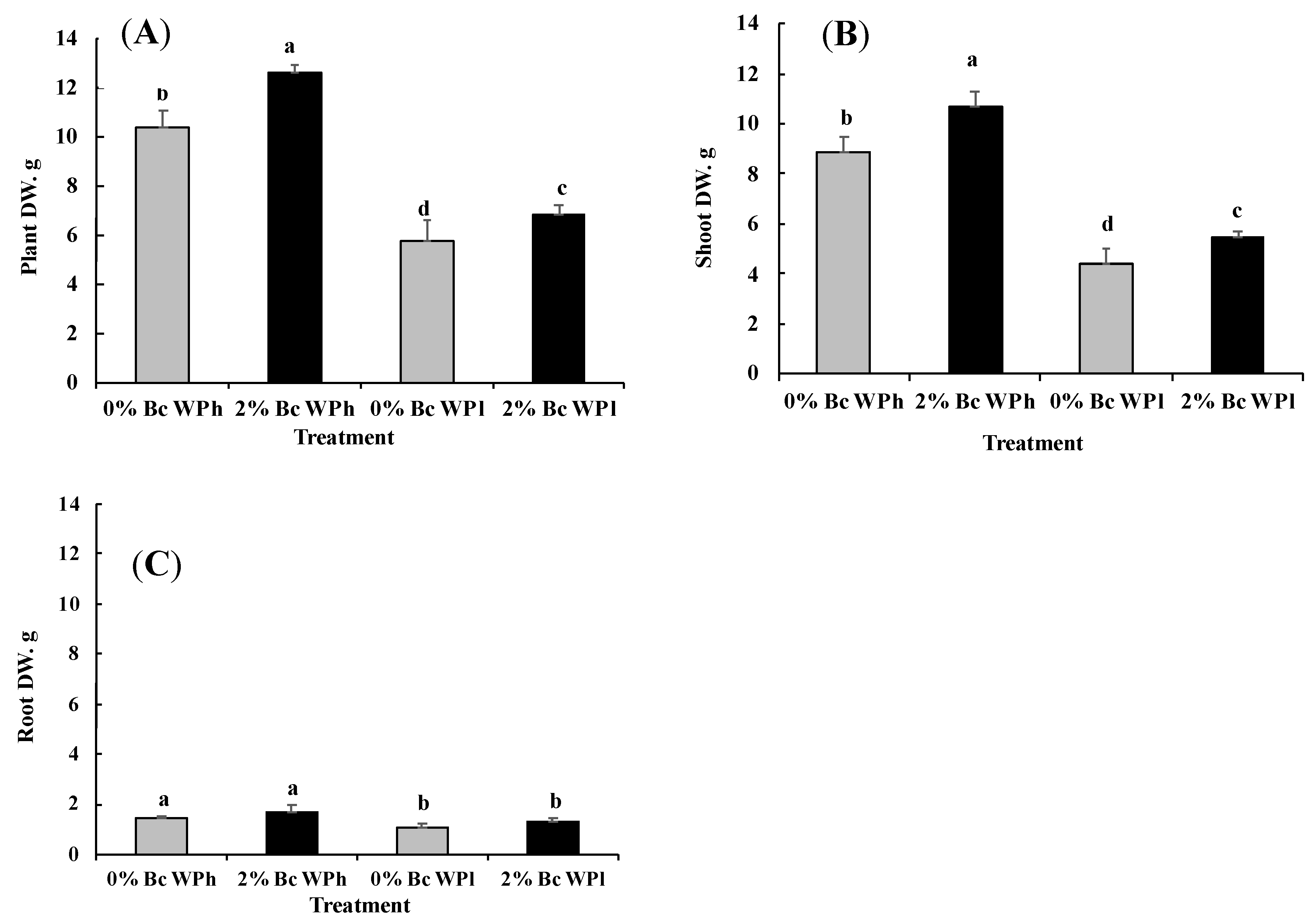 Plants 11 02411 g001