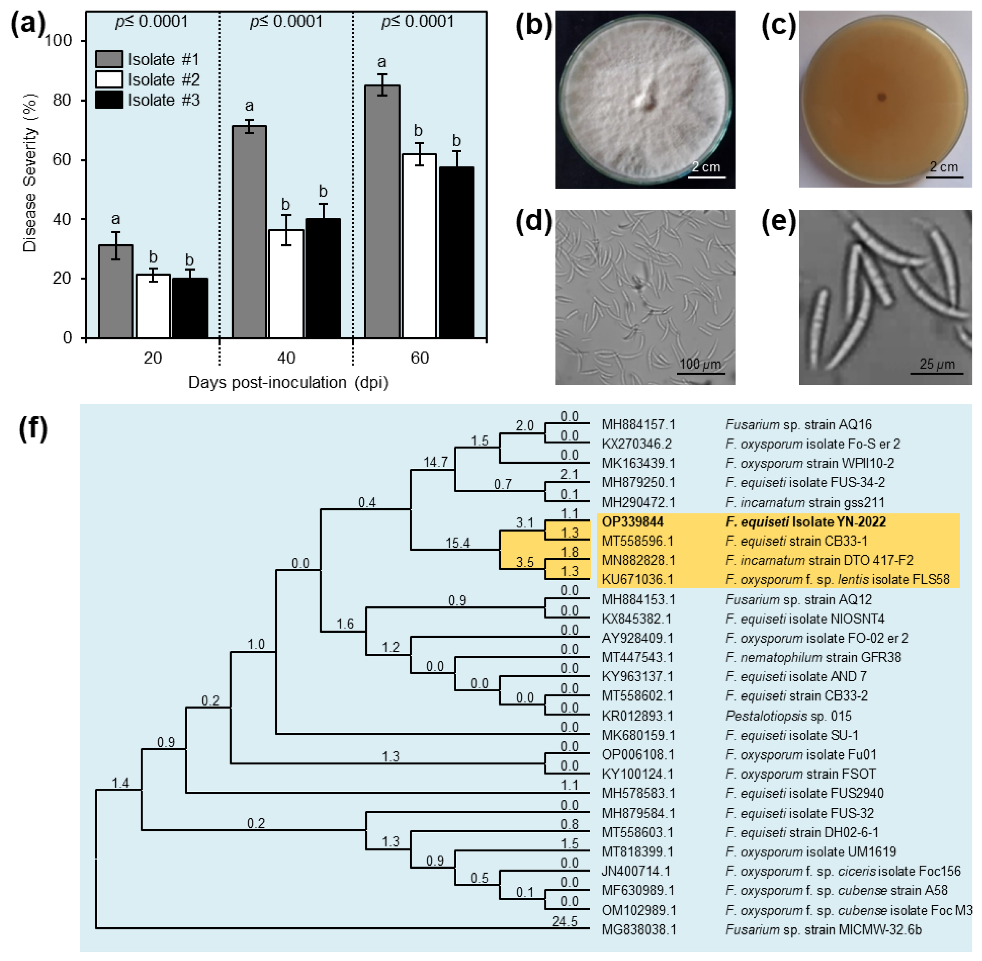 Plants 11 02418 g002