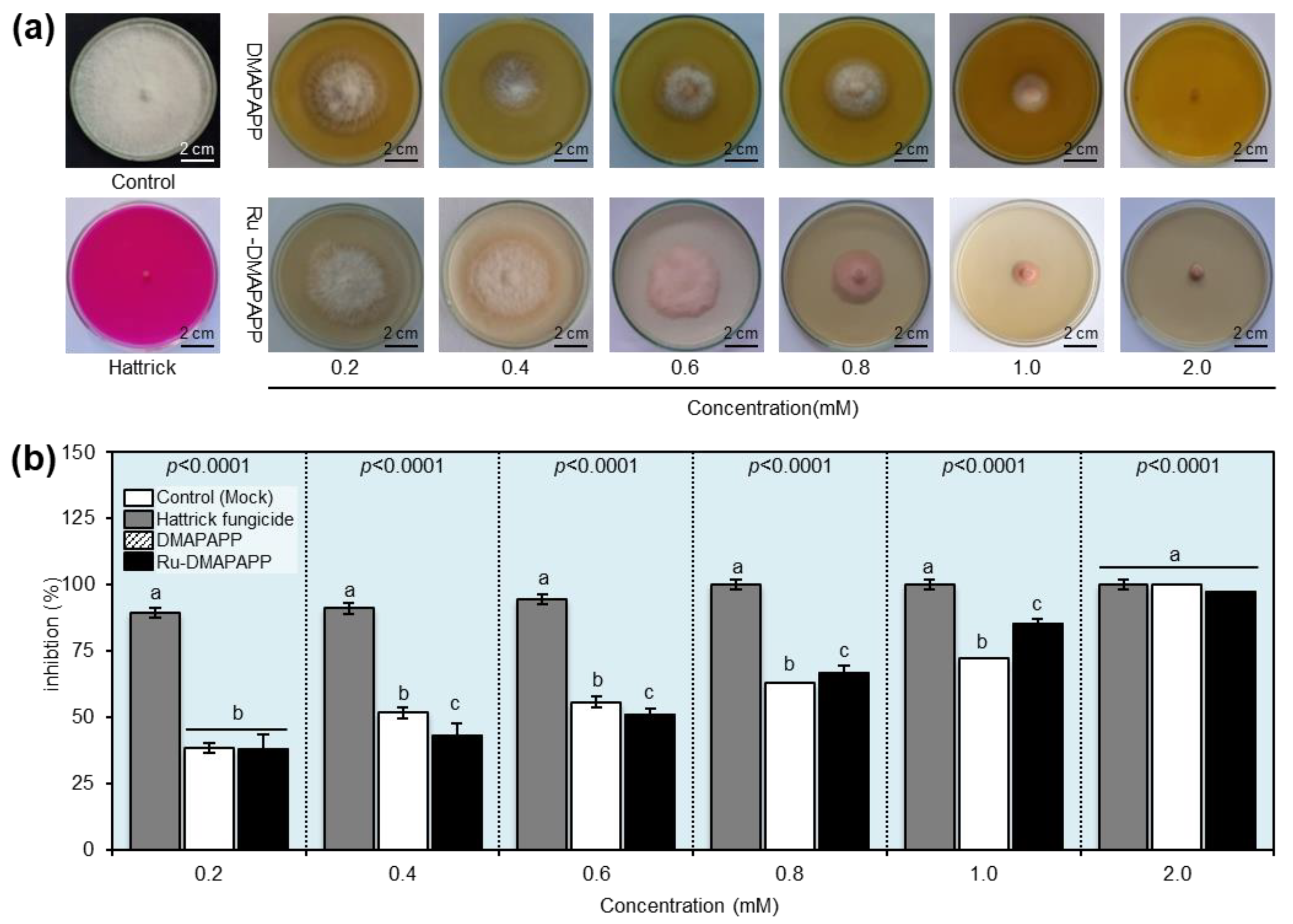 Plants 11 02418 g003