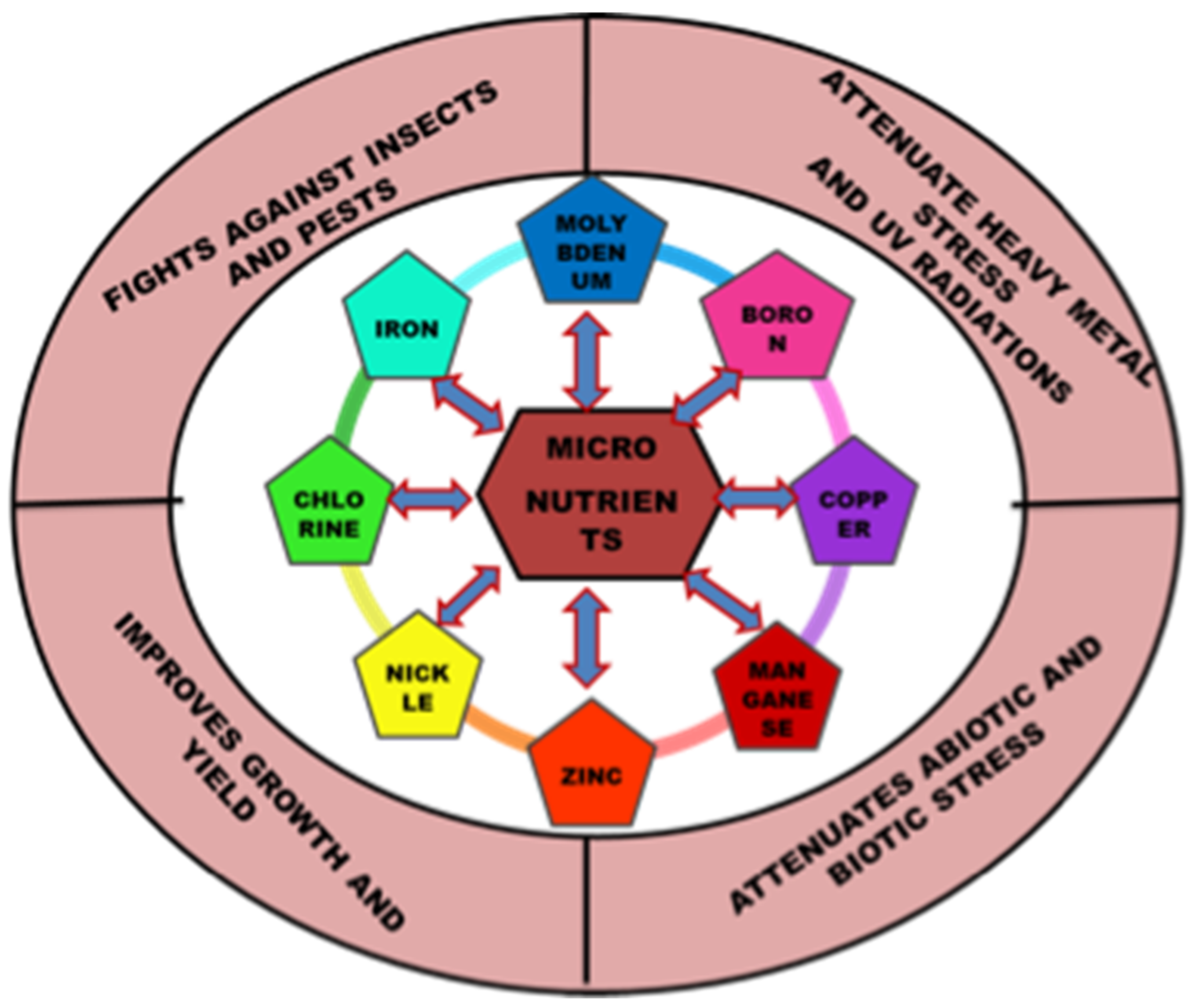 Plants | Free Full-Text | Proteomic and Genomic Studies of