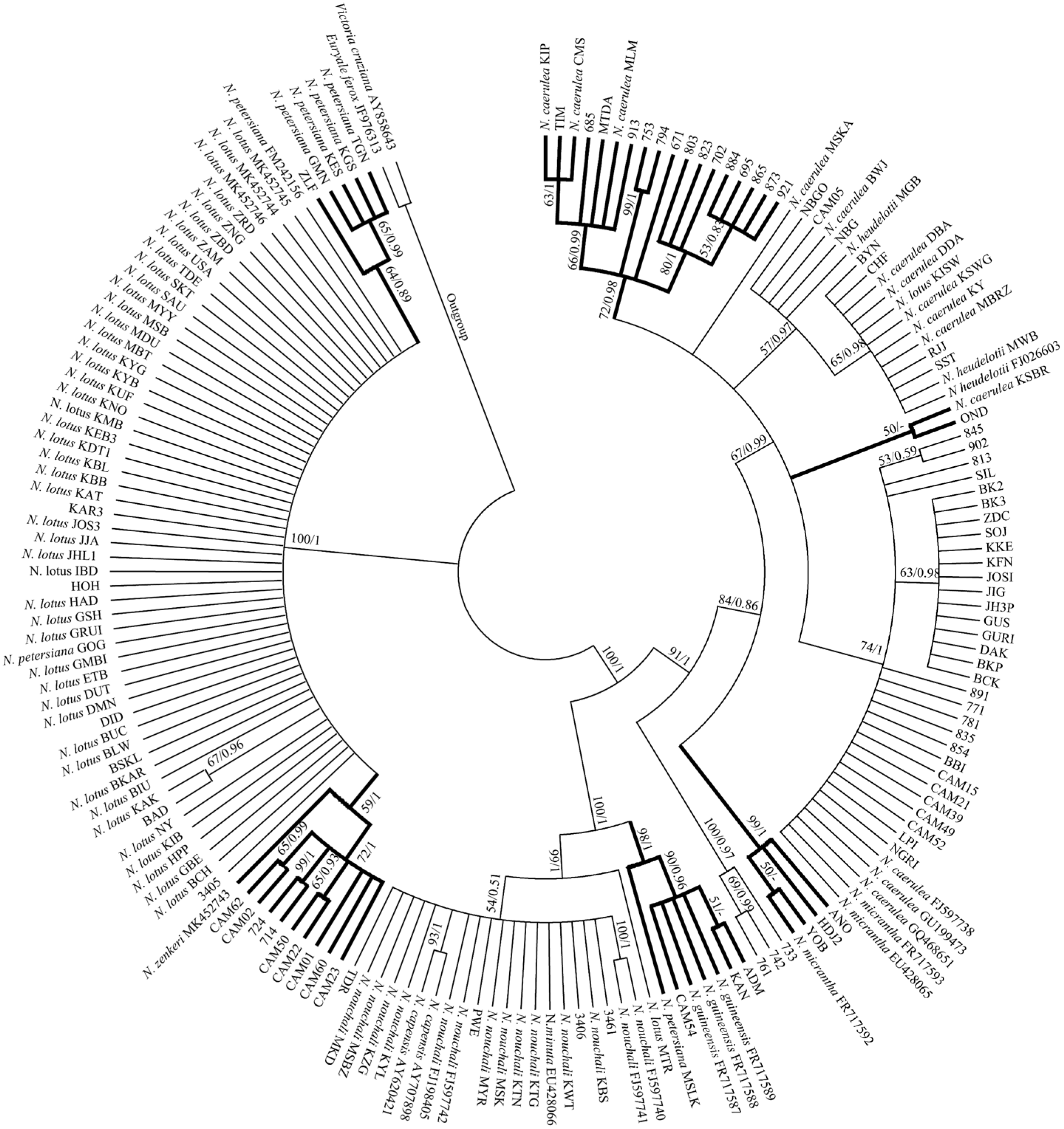 Plants 11 02431 g001