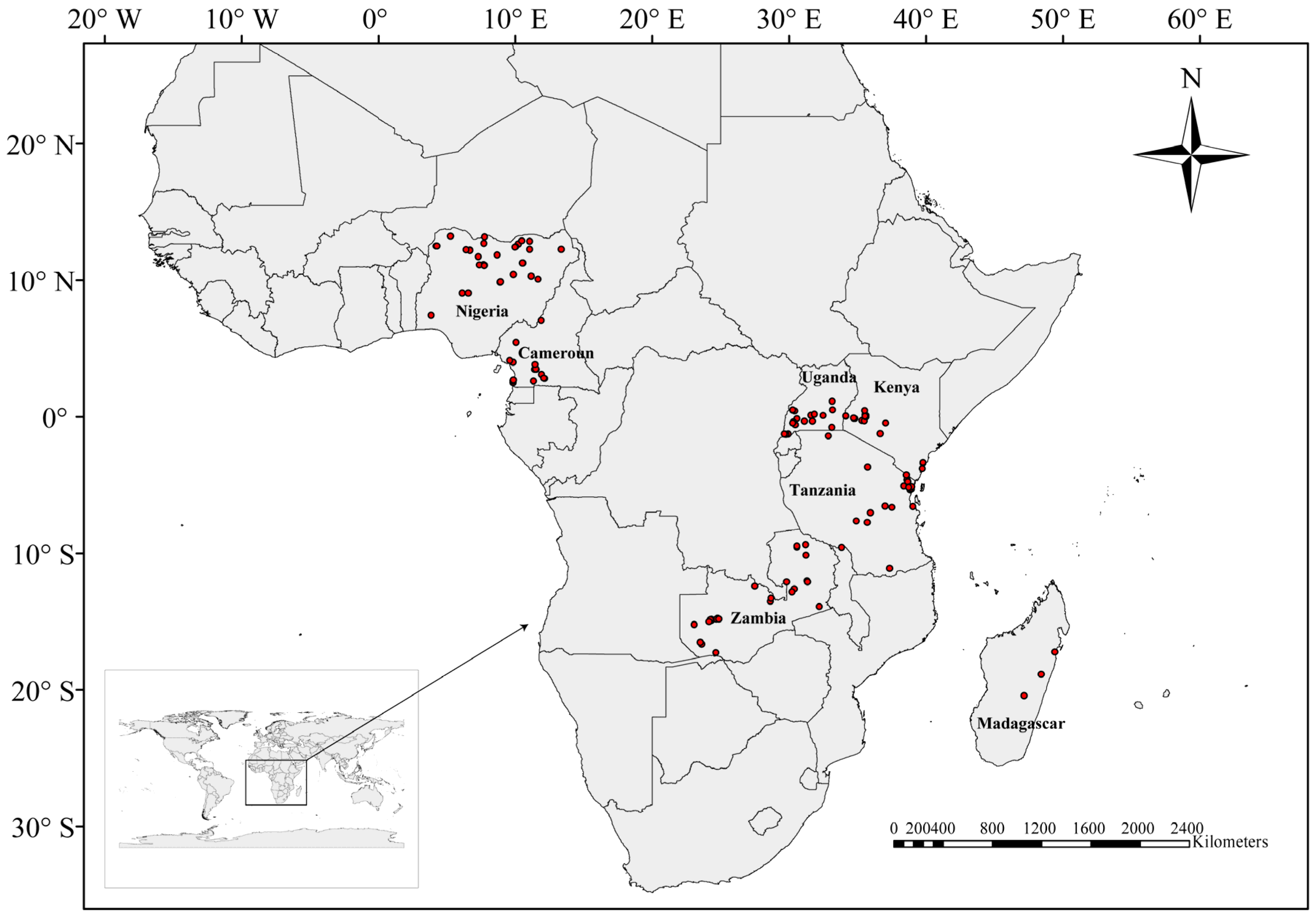 Plants 11 02431 g004