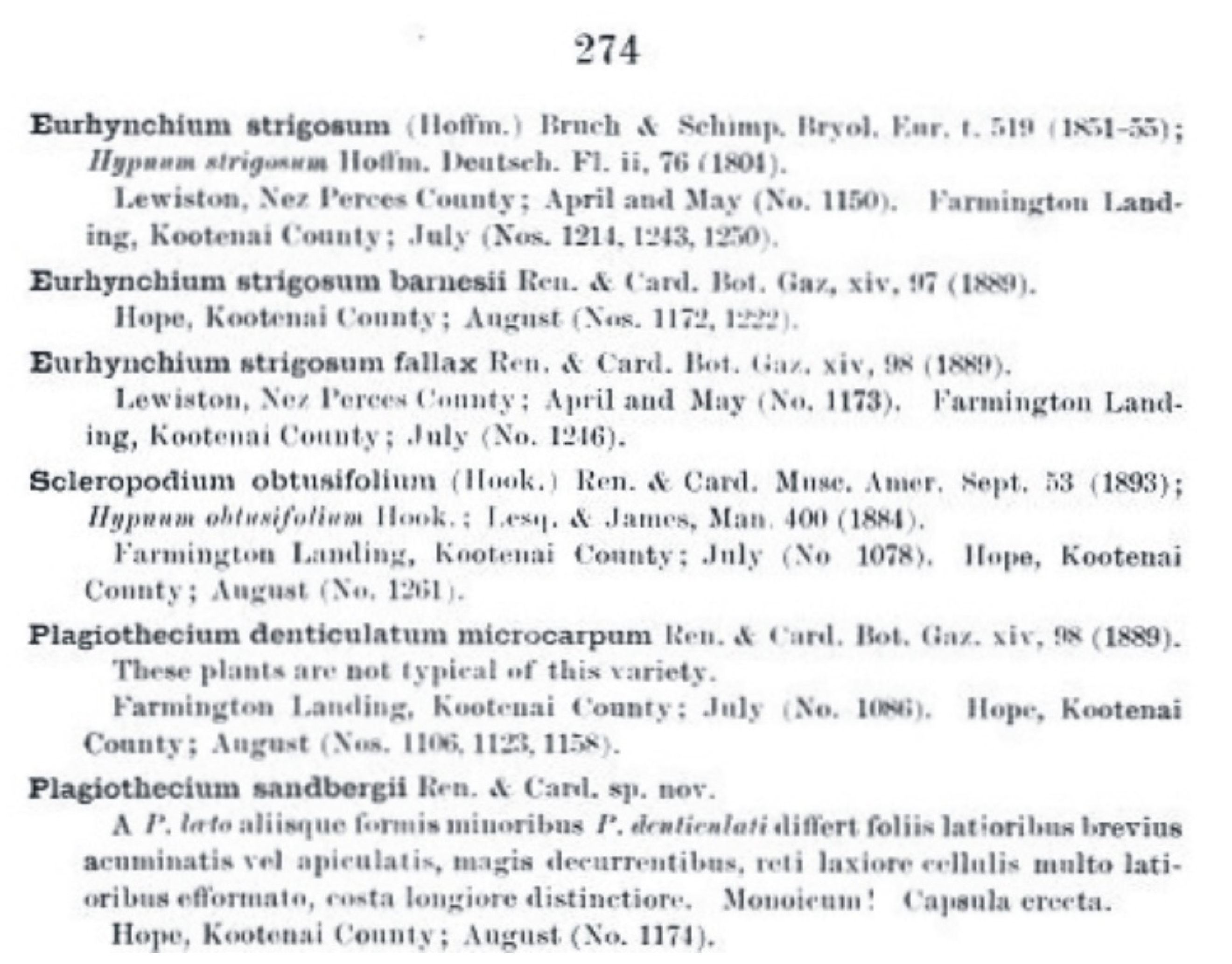 Plants 11 02446 g006