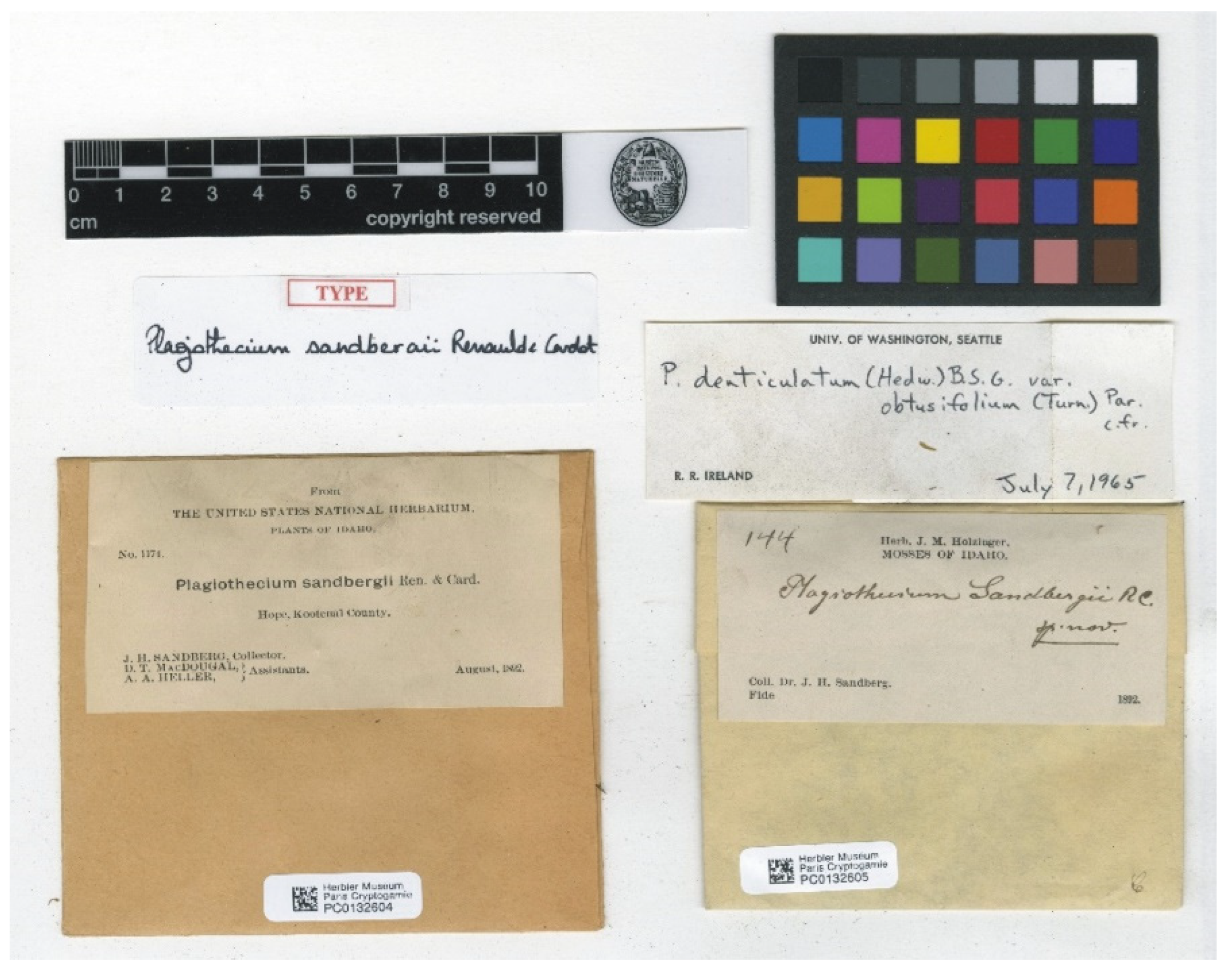 Plants 11 02446 g007