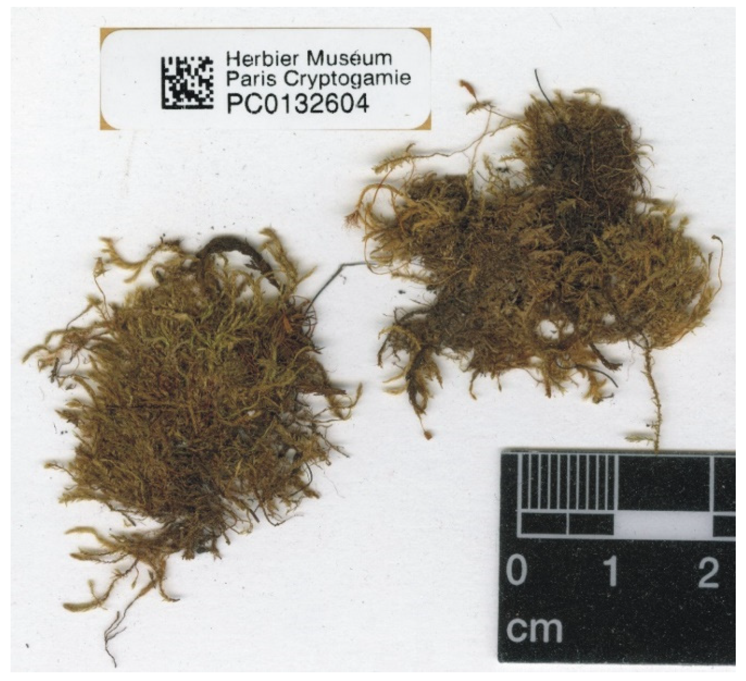 Plants 11 02446 g008