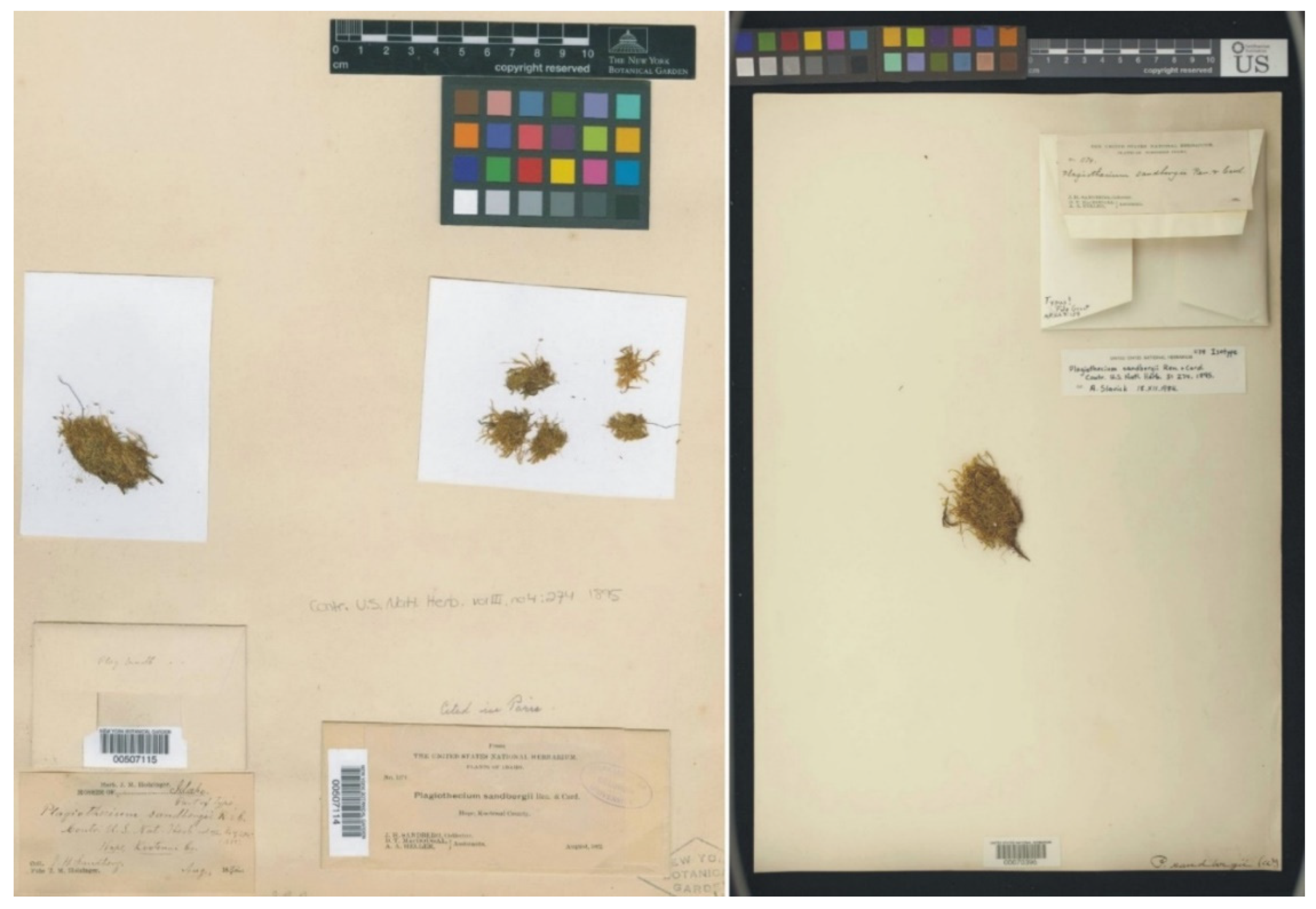 Plants 11 02446 g009