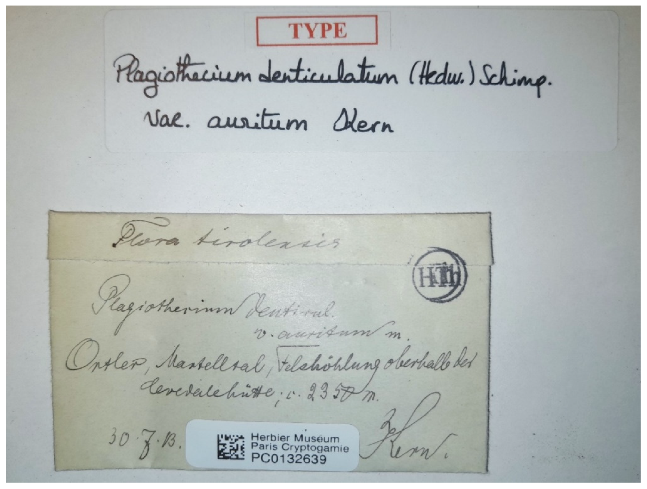 Plants 11 02446 g012