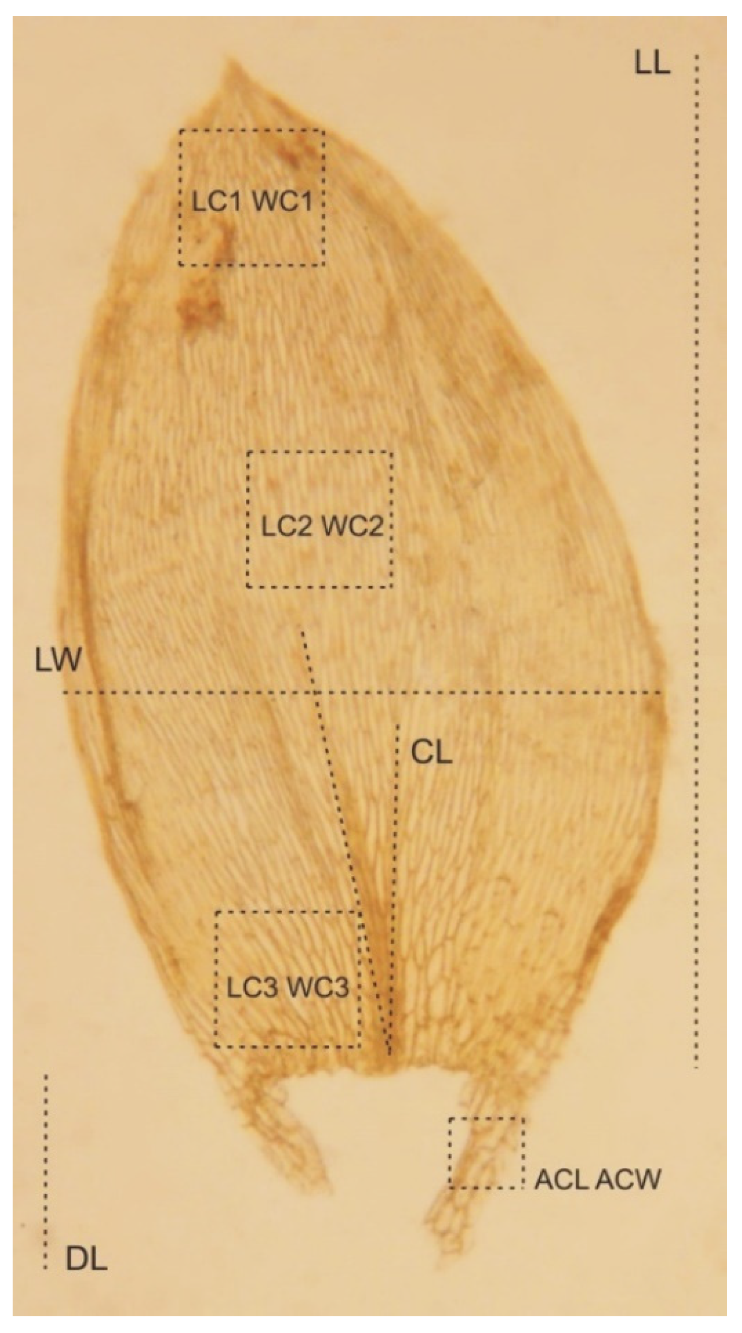 Plants 11 02446 g018