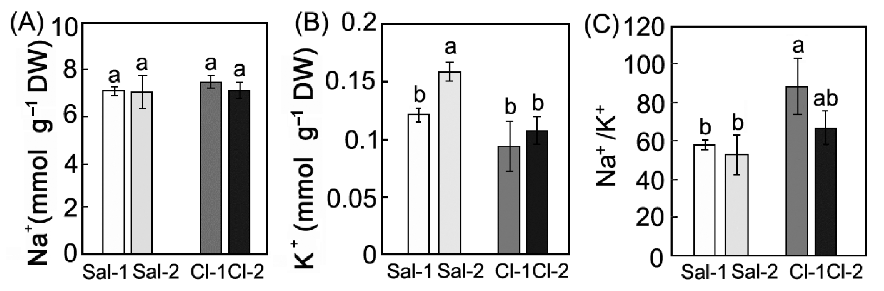 Plants 11 02461 g001