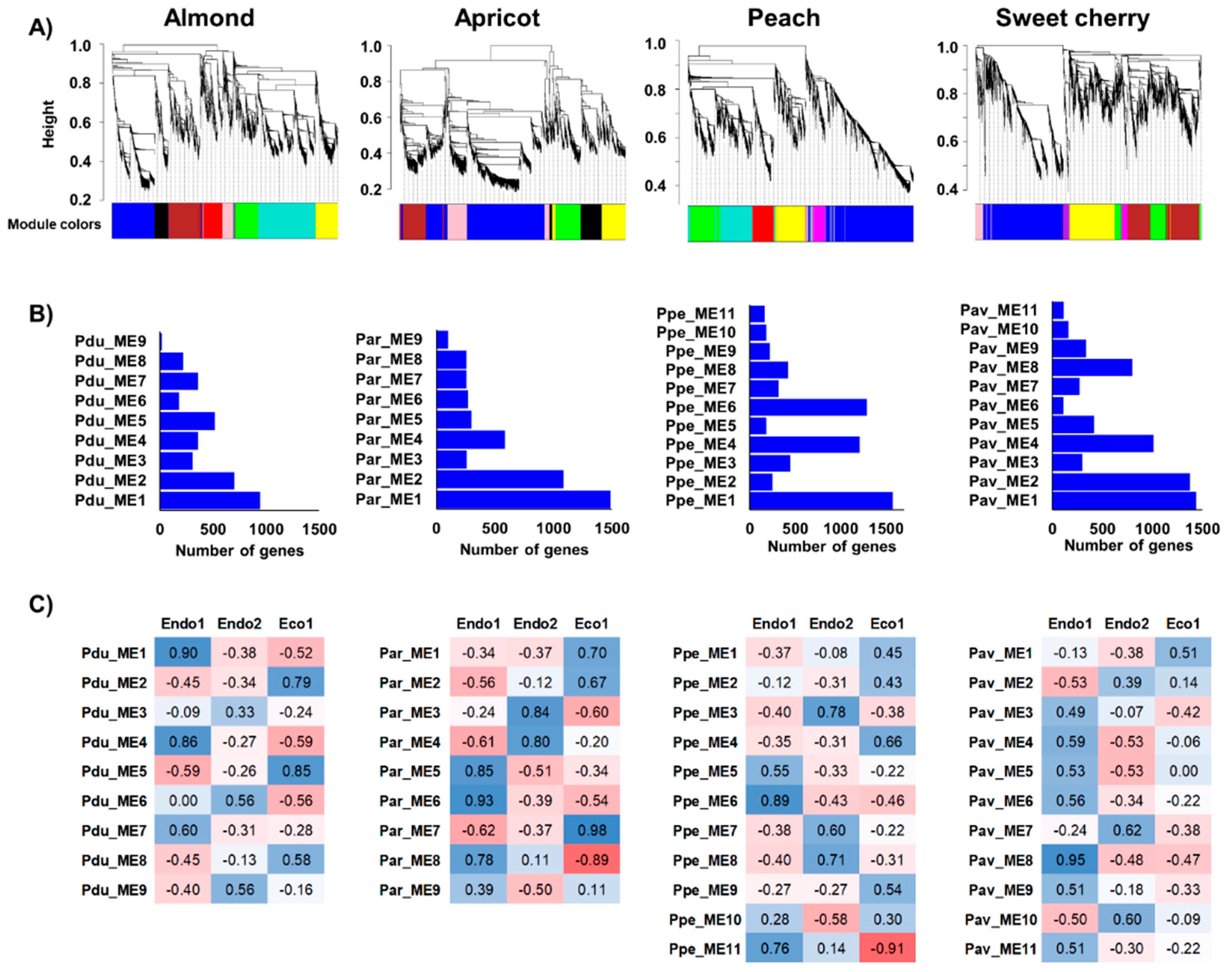 Plants 11 02469 g003