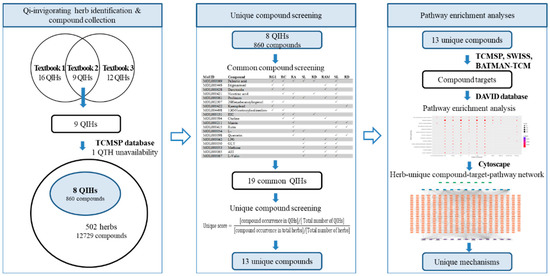 Plants | Free Full-Text | Molecular Mechanisms Underlying Qi-Invigorating  Effects in Traditional Medicine: Network Pharmacology-Based Study on the  Unique Functions of Qi-Invigorating Herb Group