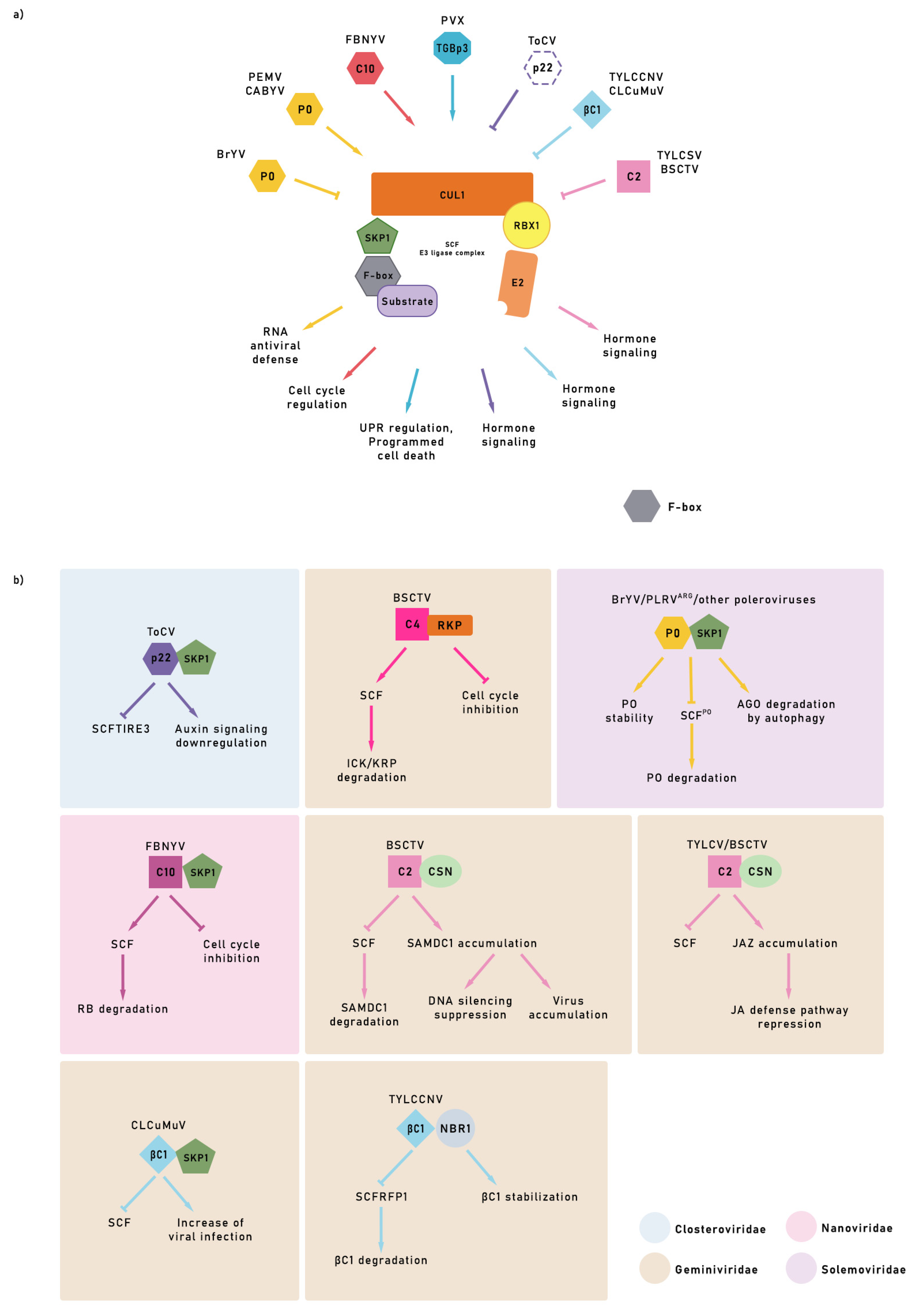 Plants 11 02476 g002