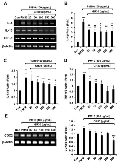 Figure 5 from Hepatoprotective effects of Lycium chinense Miller fruit and  its constituent betaine in CCl4-induced hepatic damage in rats.