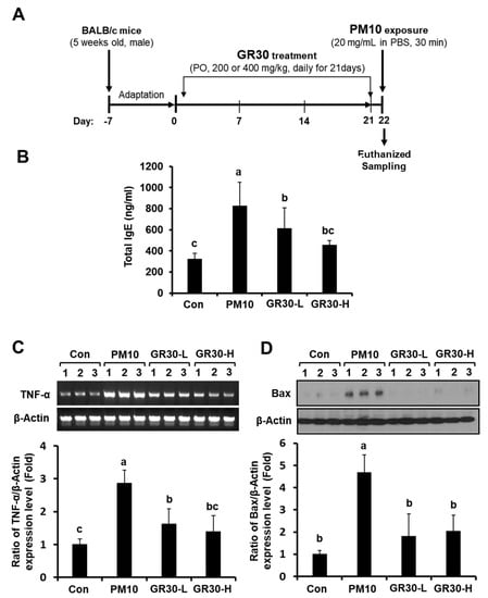 Figure 5 from Hepatoprotective effects of Lycium chinense Miller fruit and  its constituent betaine in CCl4-induced hepatic damage in rats.