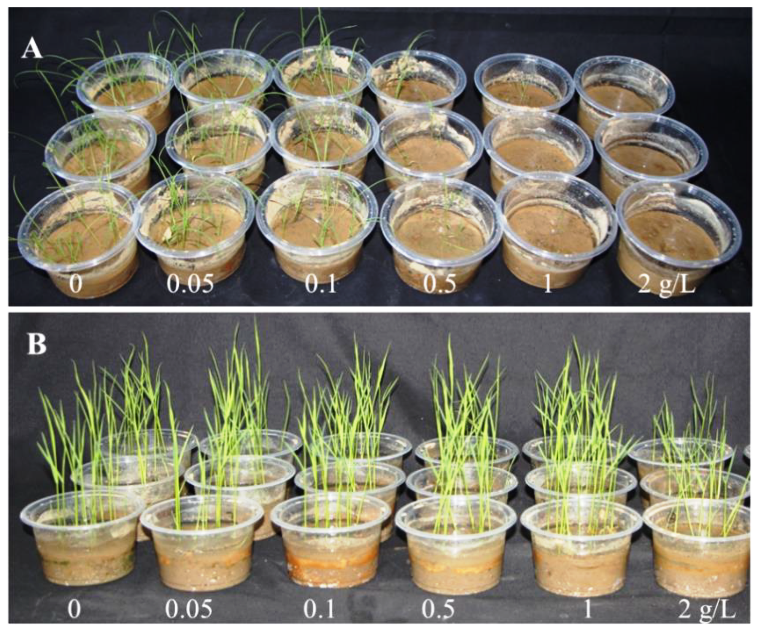 Plants 11 02505 g001