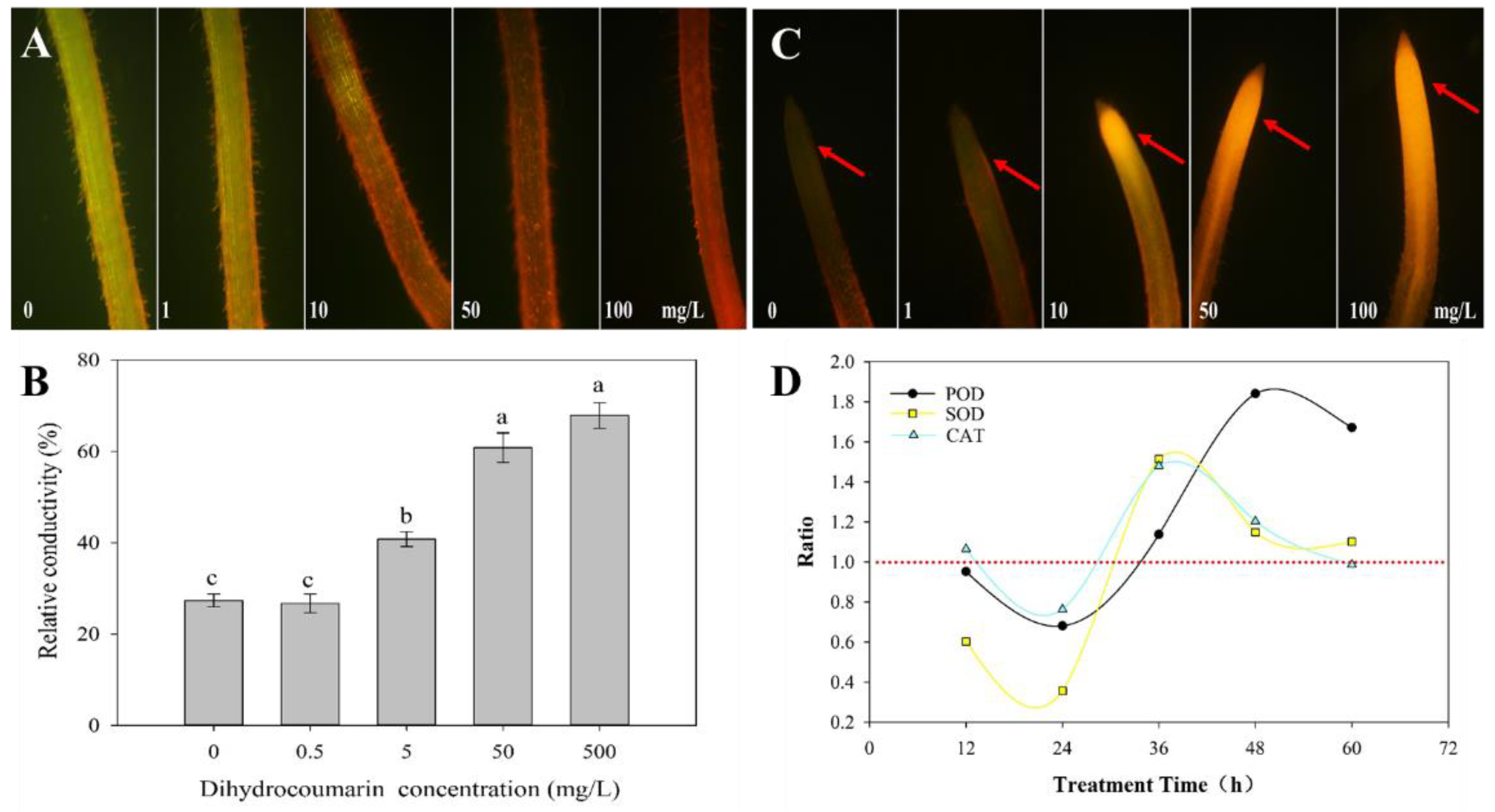 Plants 11 02505 g002