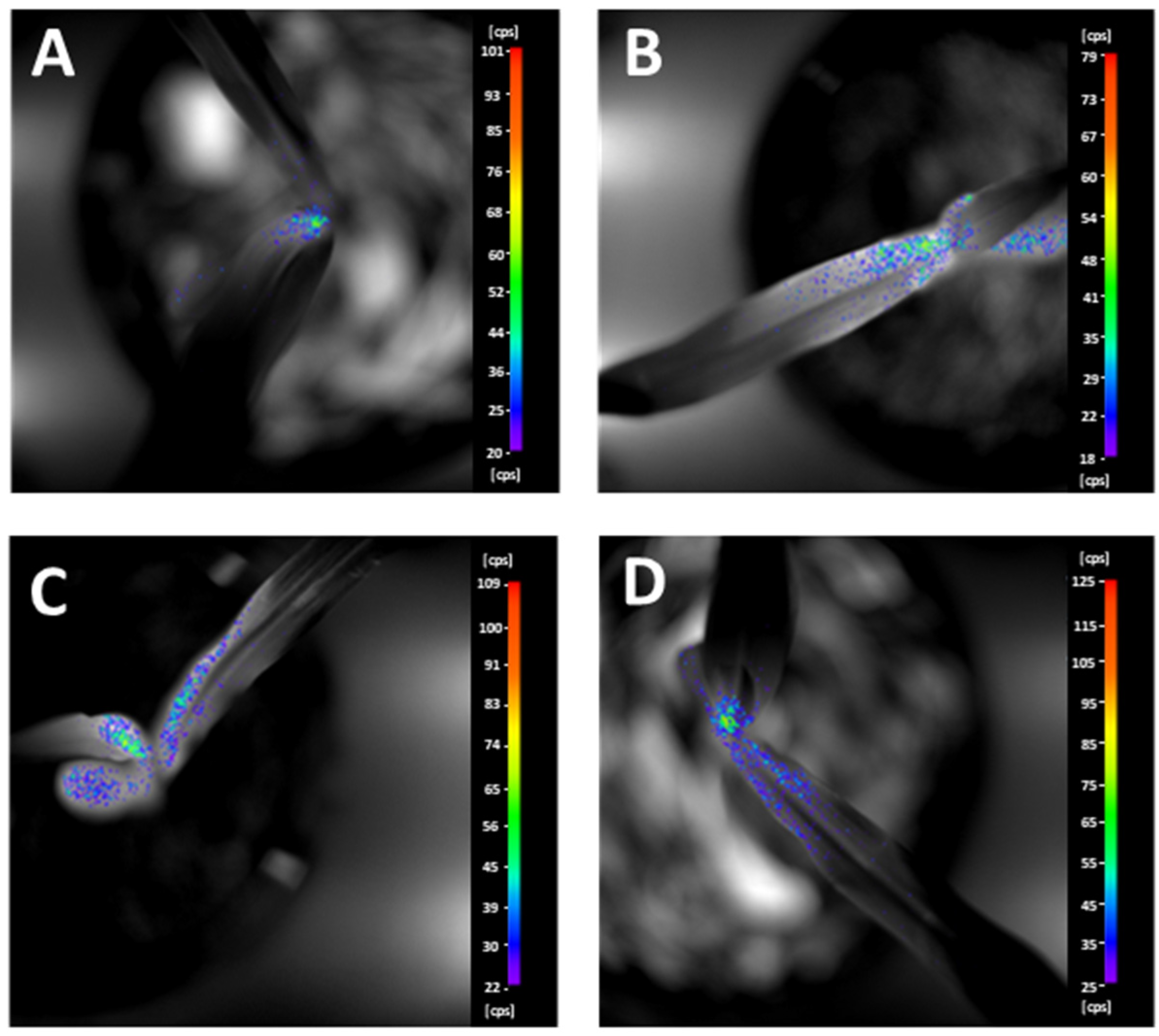 Plants 11 02506 g004
