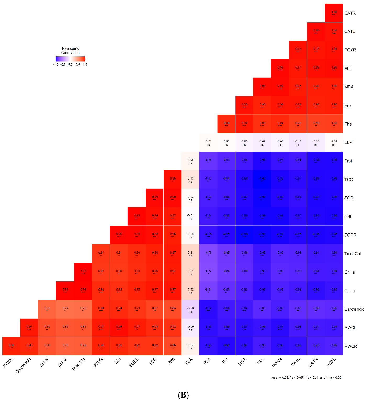 Plants 11 02525 g005b