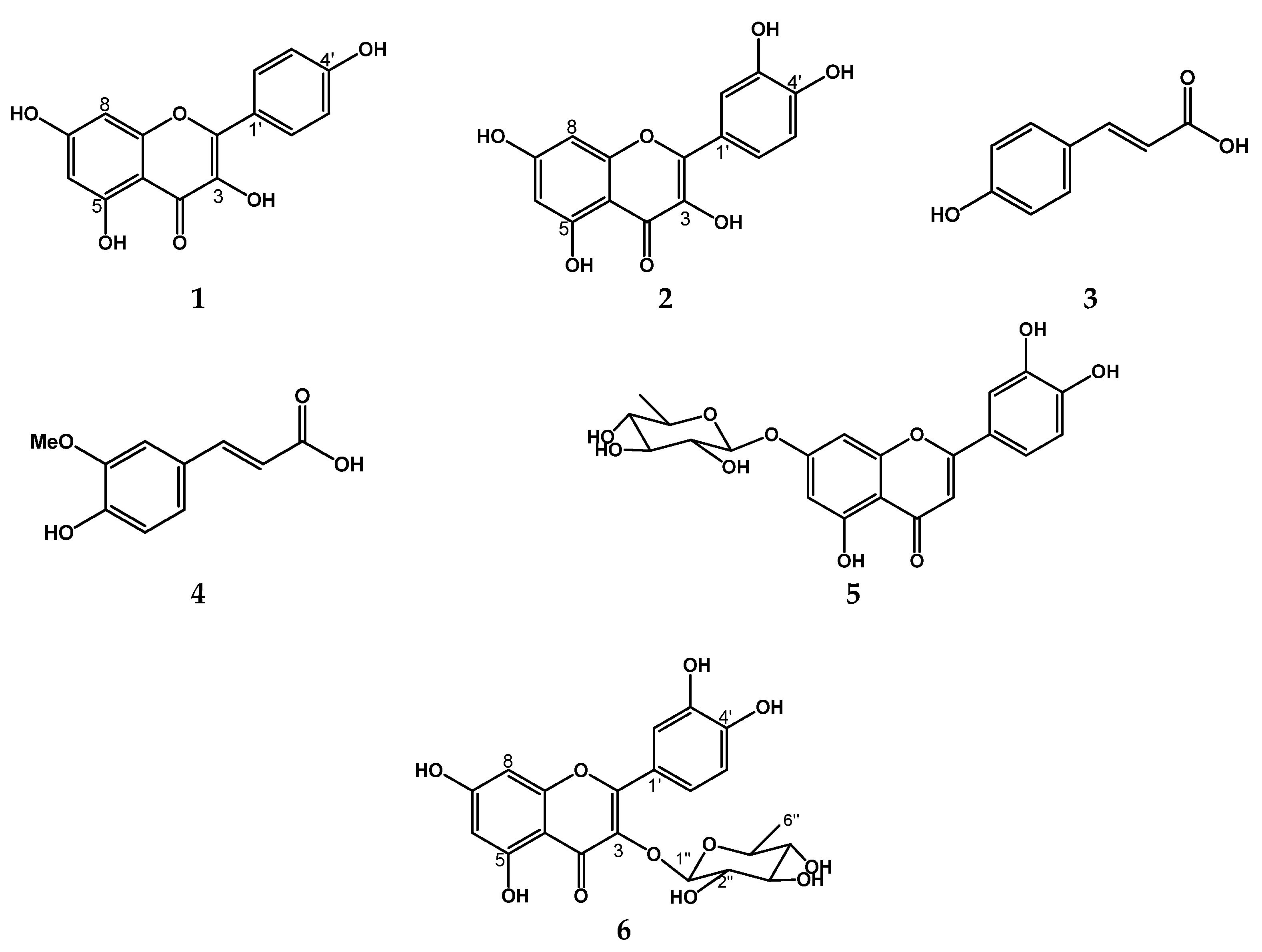 Plants 11 02555 g003 Plants 11 02555 g003
