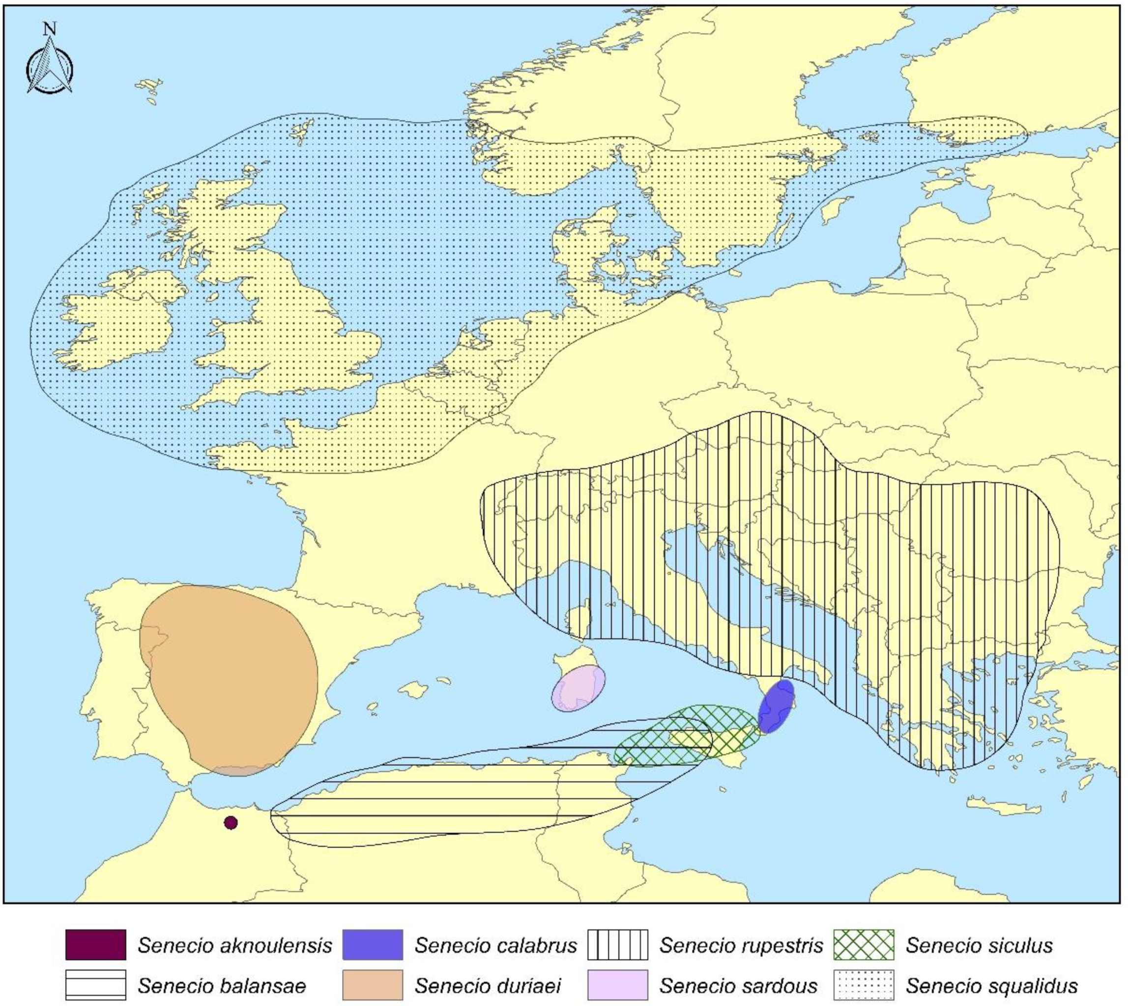 Plants 11 02597 g003 Plants 11 02597 g003