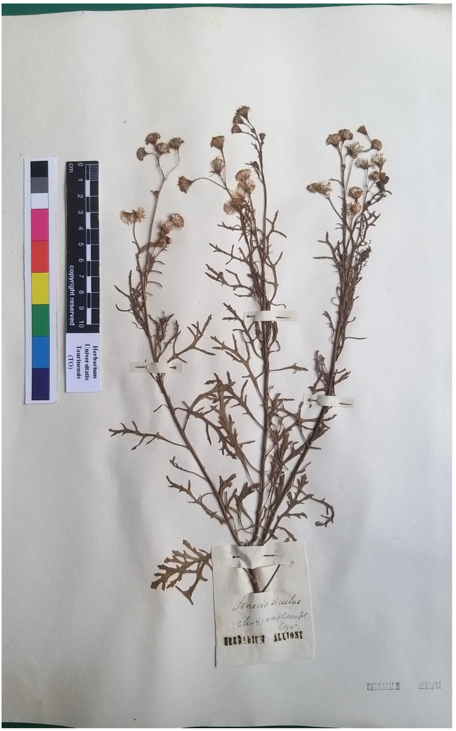 Plants 11 02597 g006 Plants 11 02597 g006