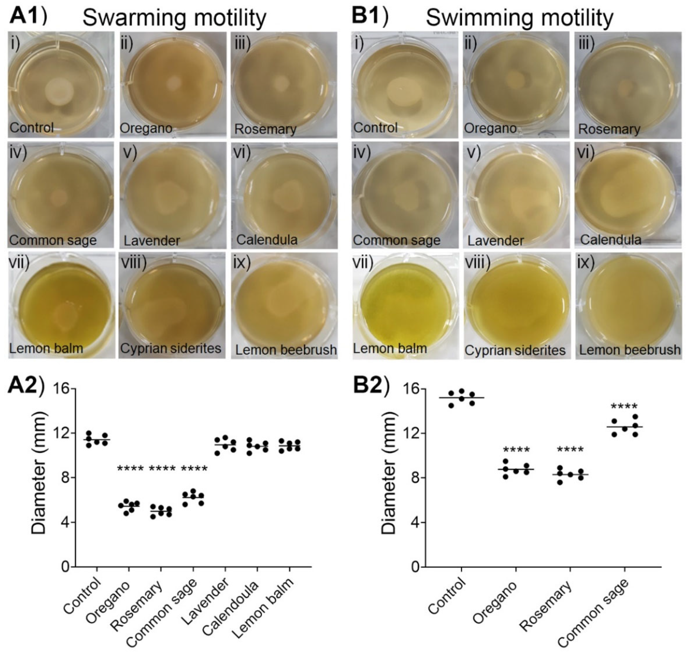 Plants 11 02632 g004 Plants 11 02632 g004