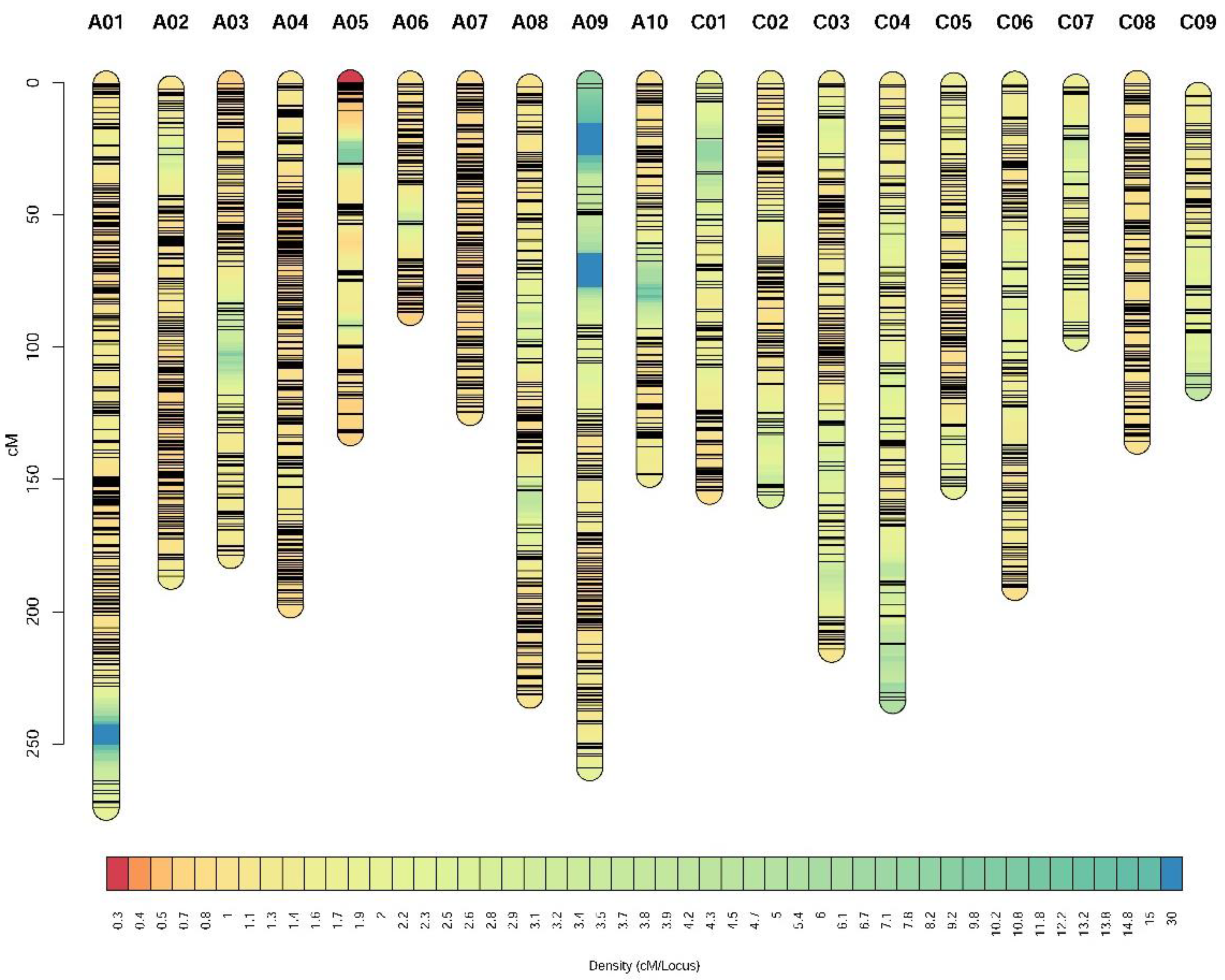 Plants 11 02635 g003 Plants 11 02635 g003