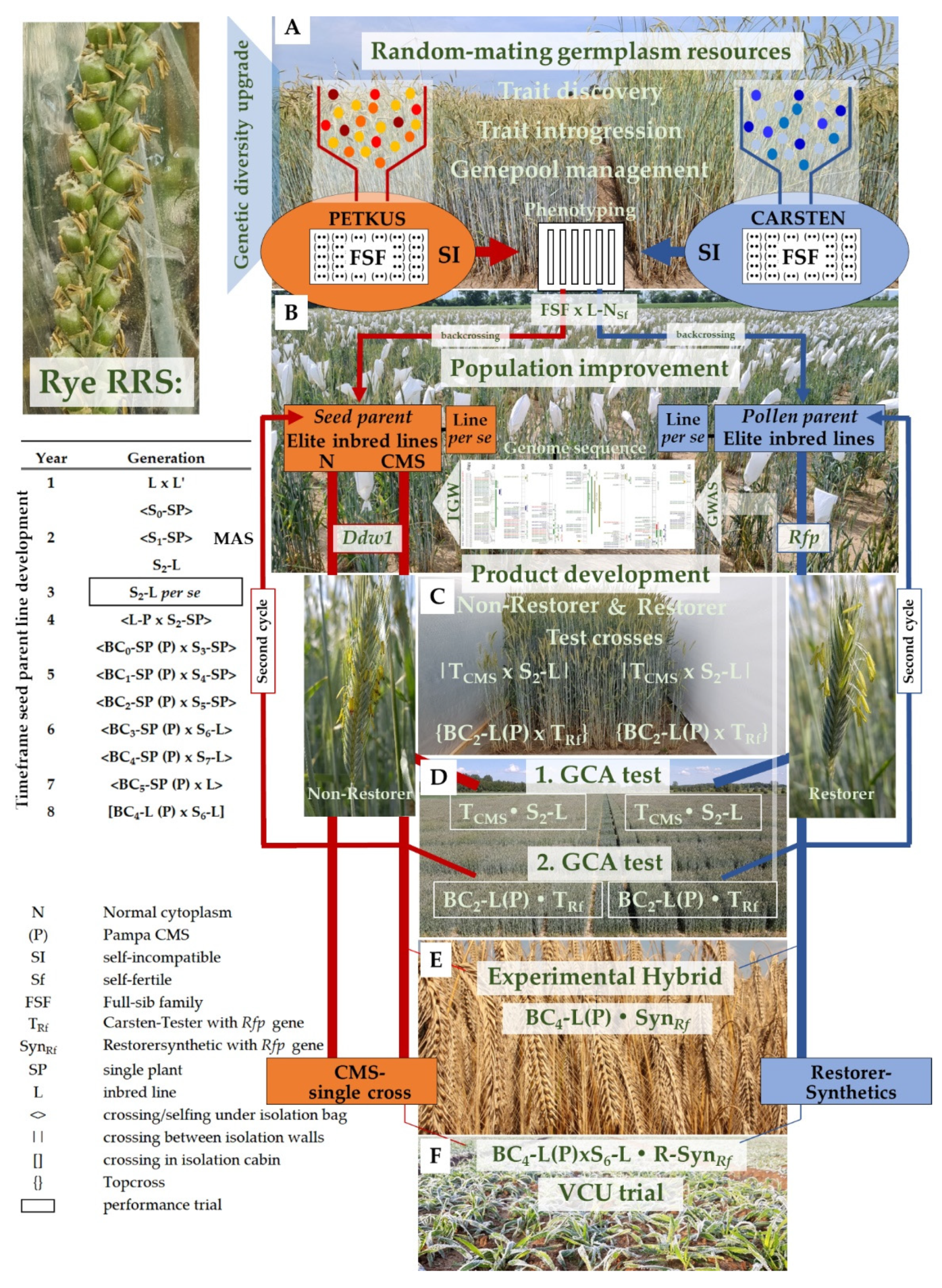 Plants 11 02666 g008