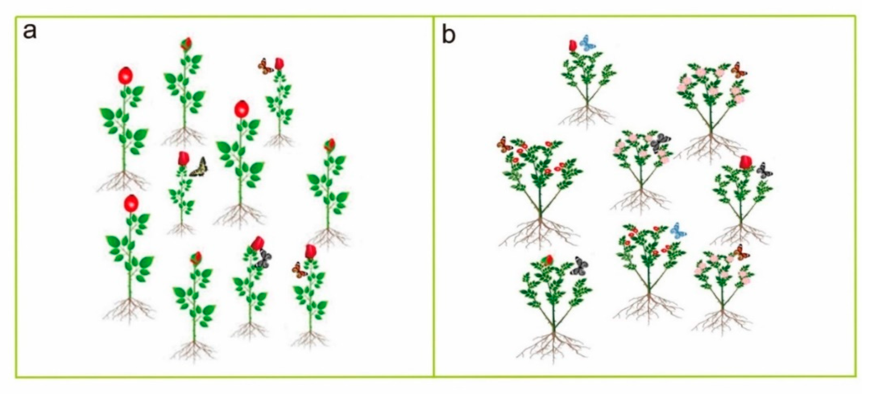 Plants 11 02684 g006 Plants 11 02684 g006