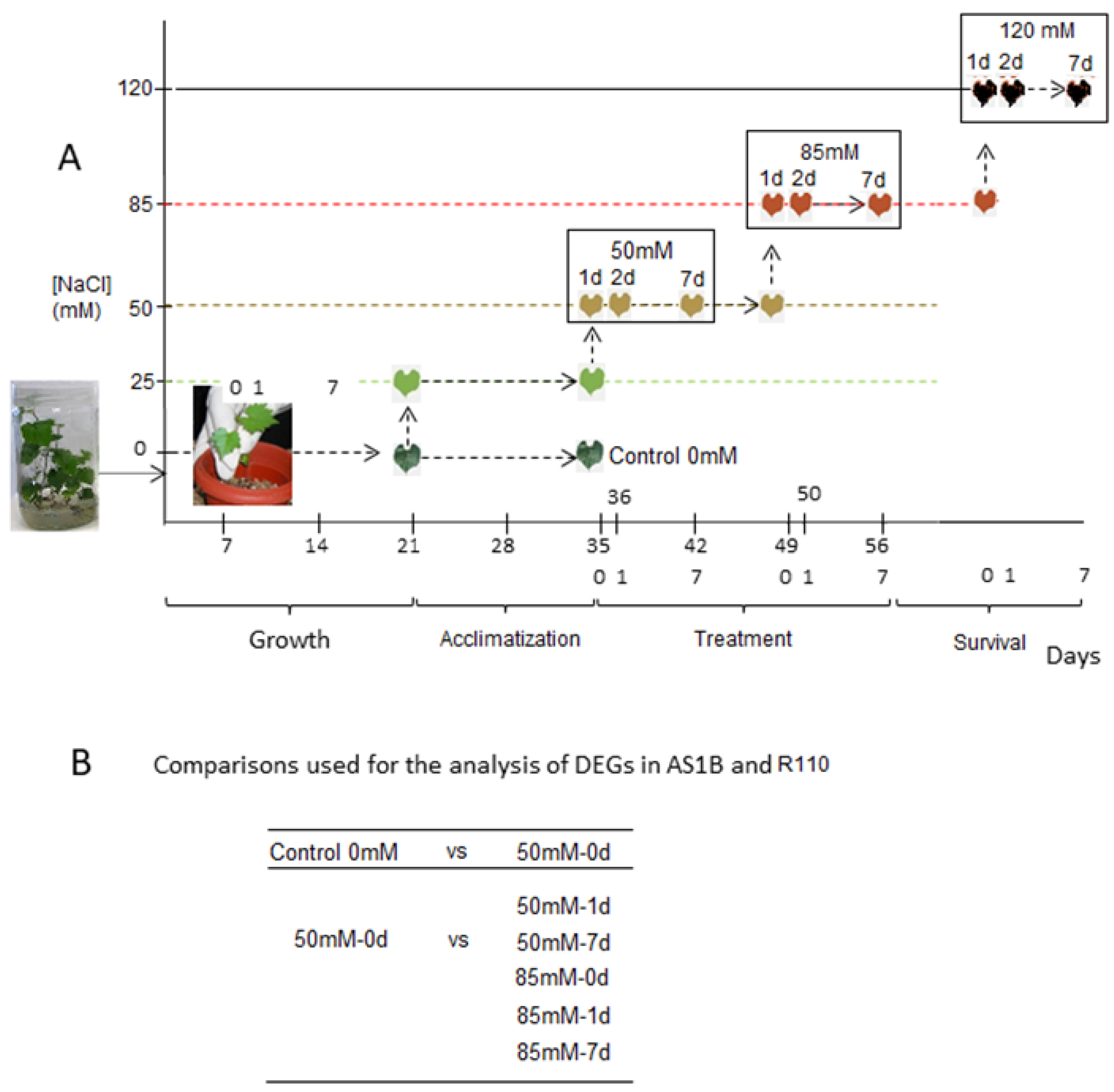 Plants 11 02688 g001 Plants 11 02688 g001